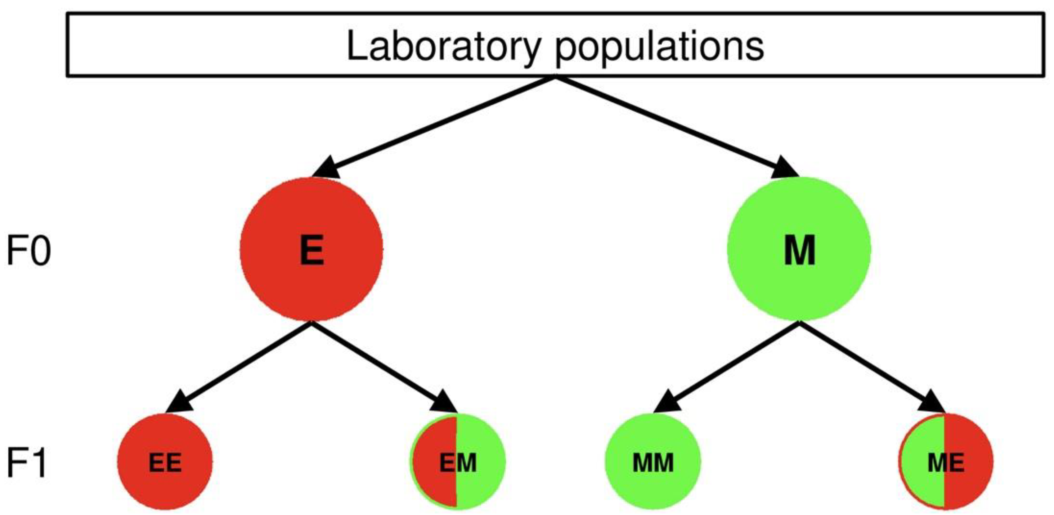 Biology 11 01123 g001