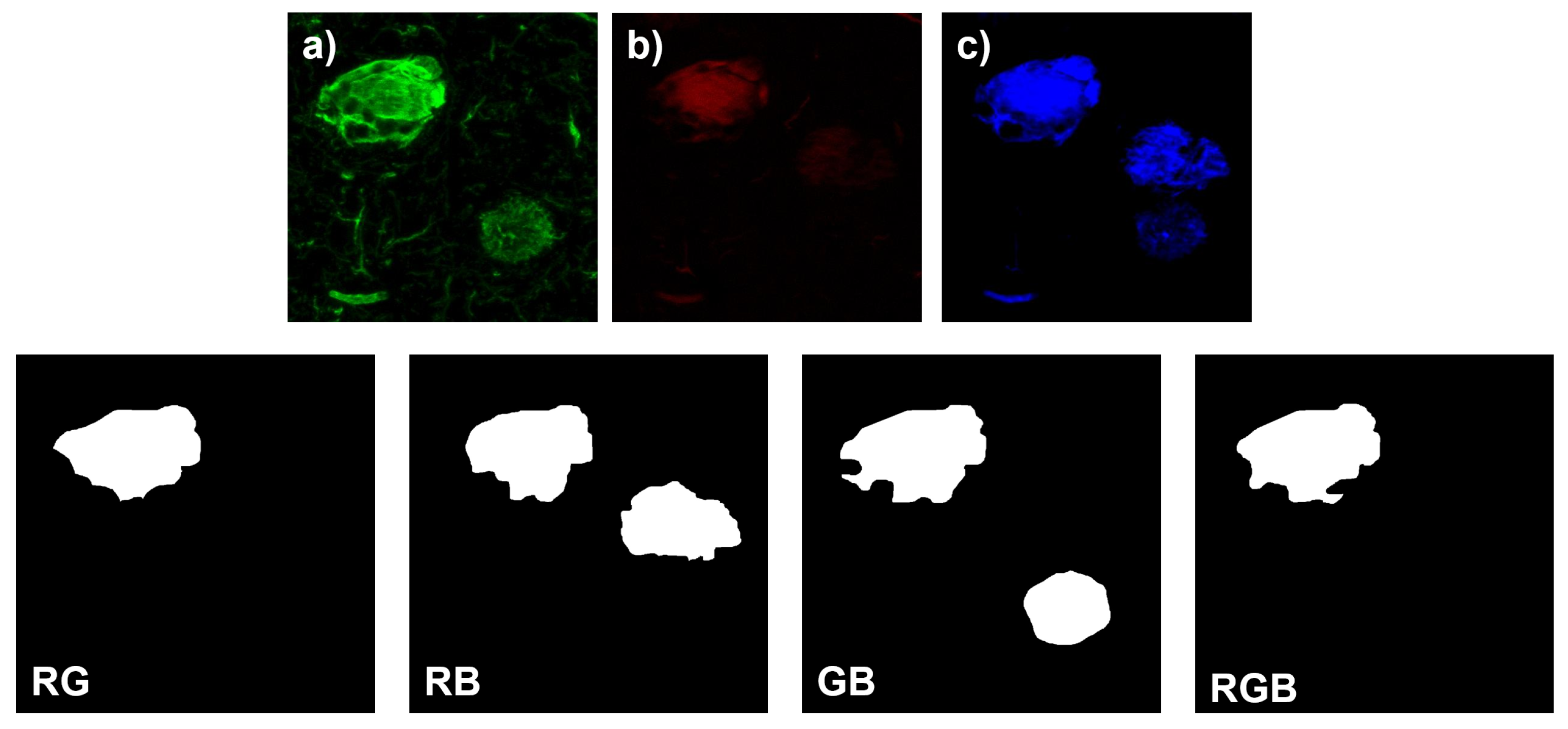 Biology 11 01131 g002