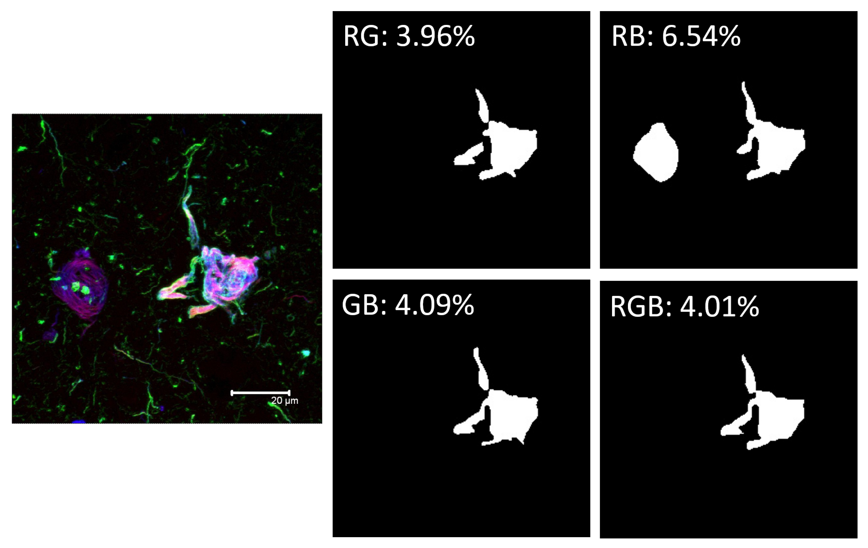 Biology 11 01131 g006