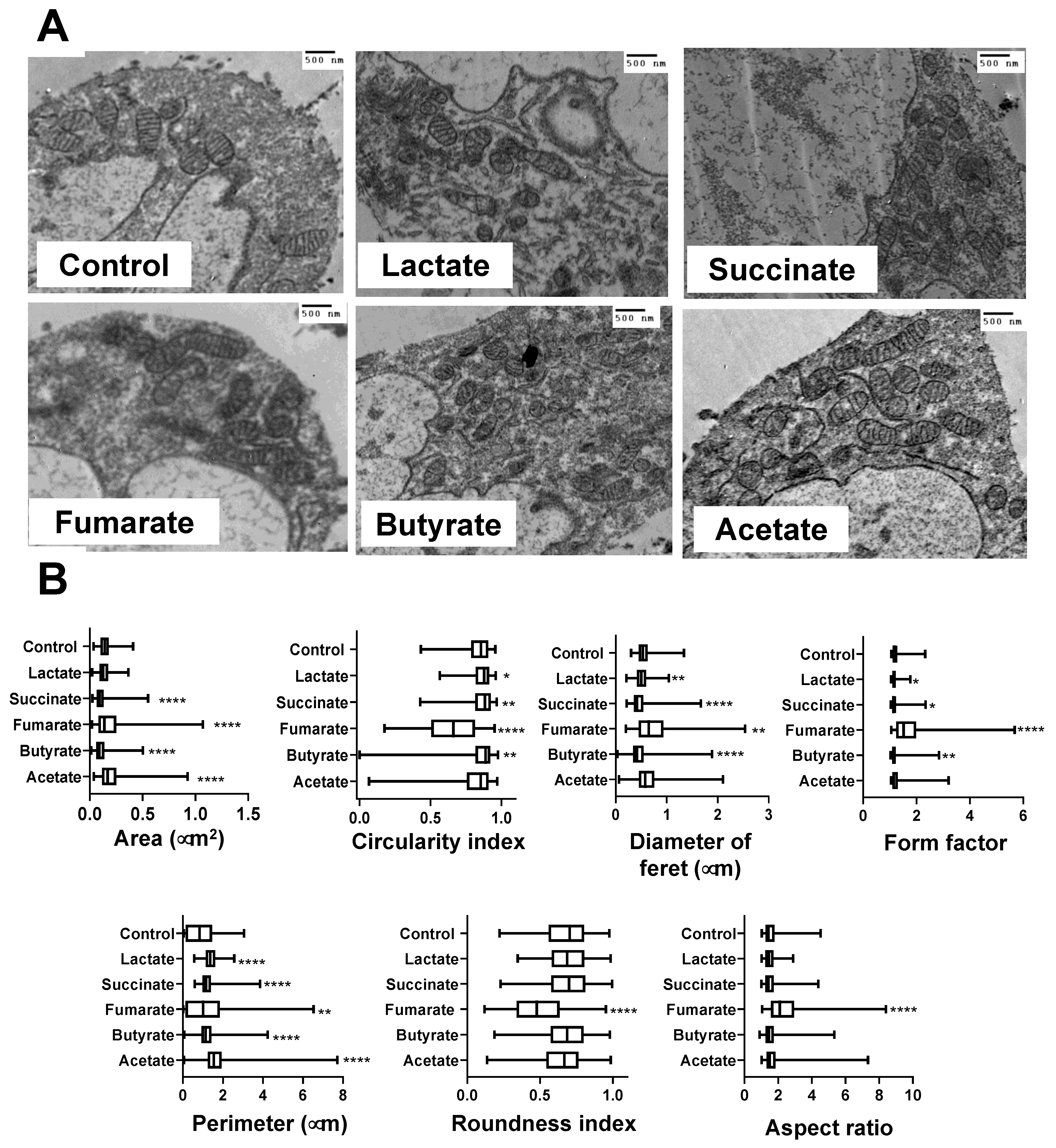 Biology 11 01132 g002