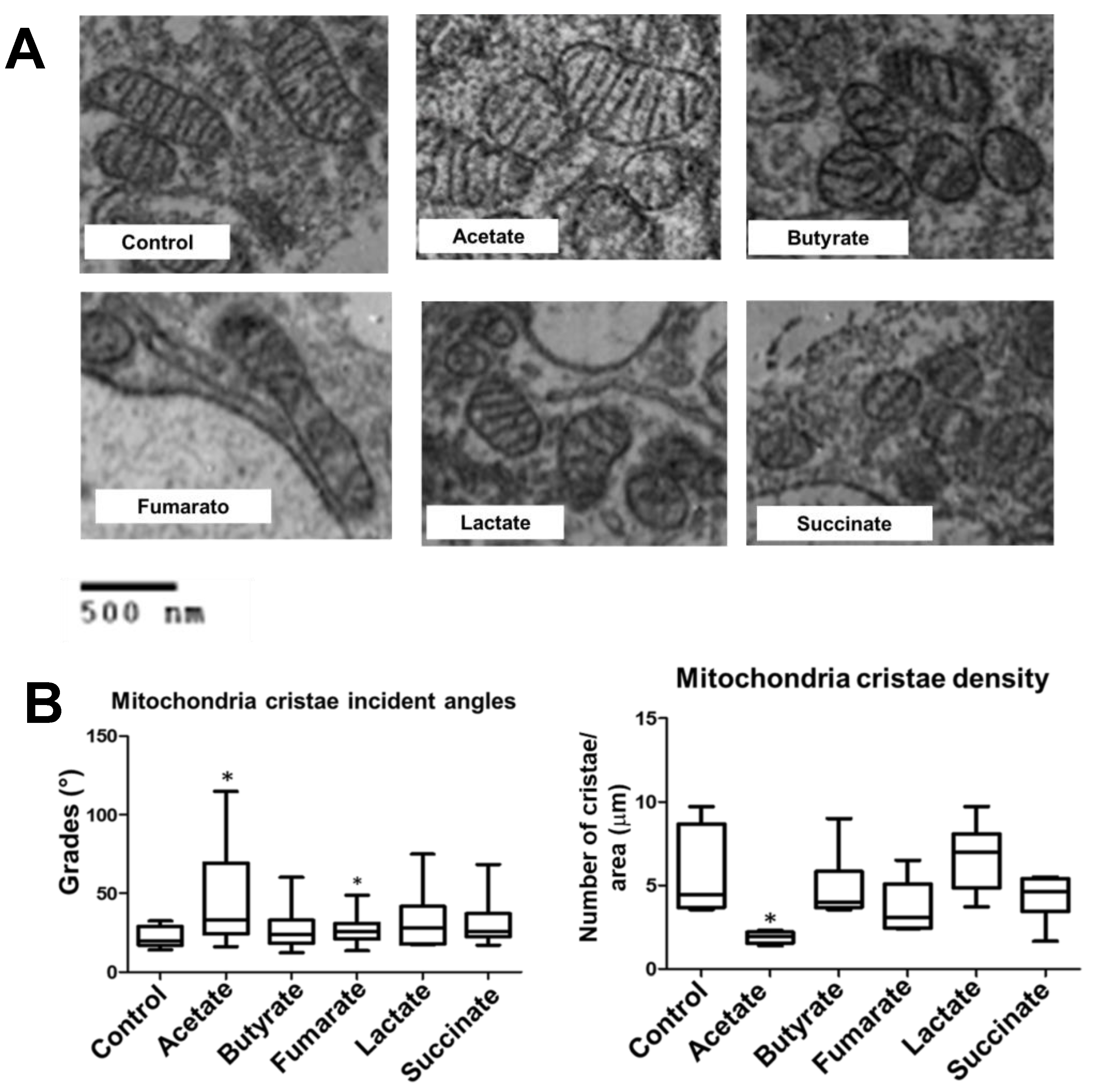 Biology 11 01132 g003