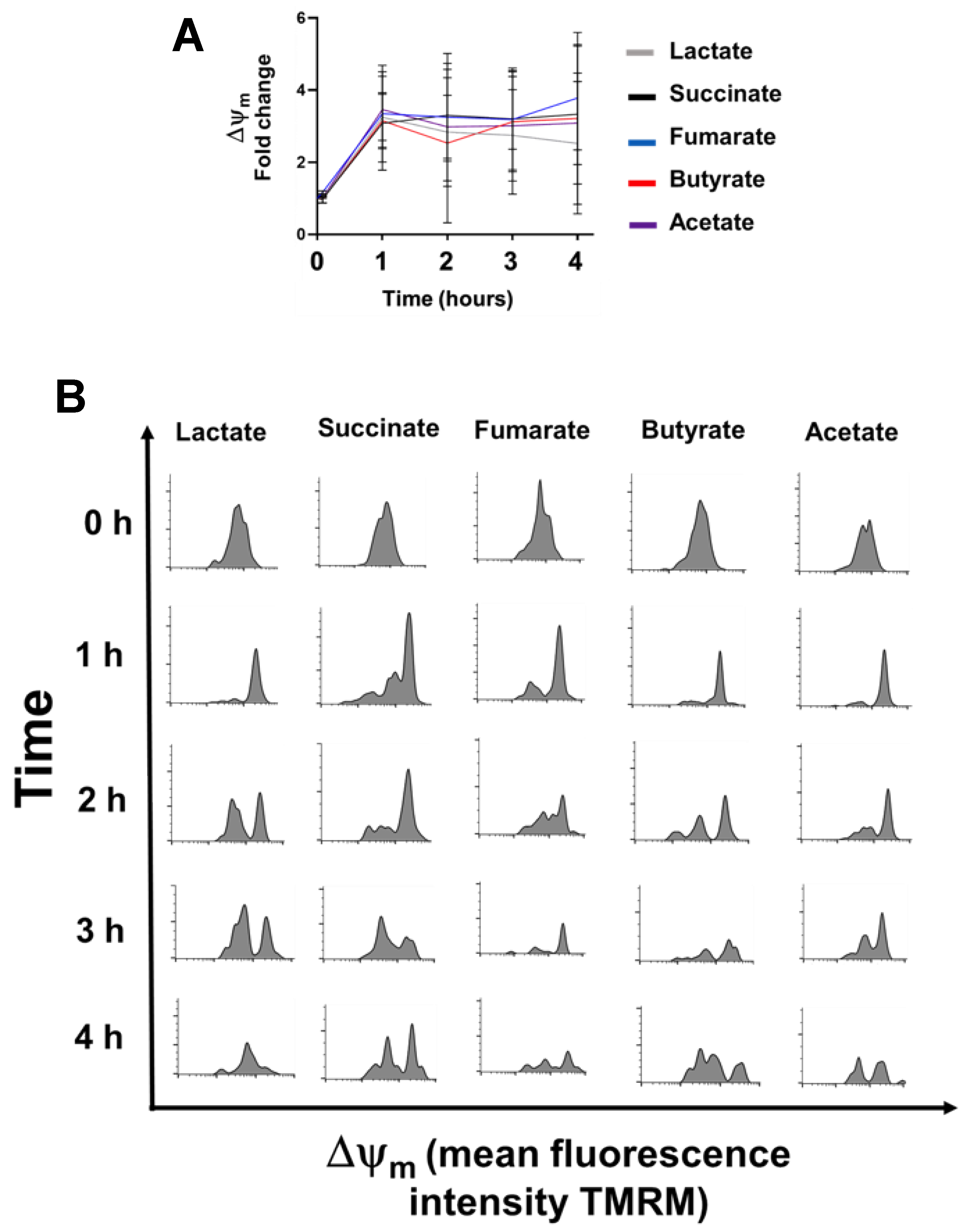 Biology 11 01132 g004