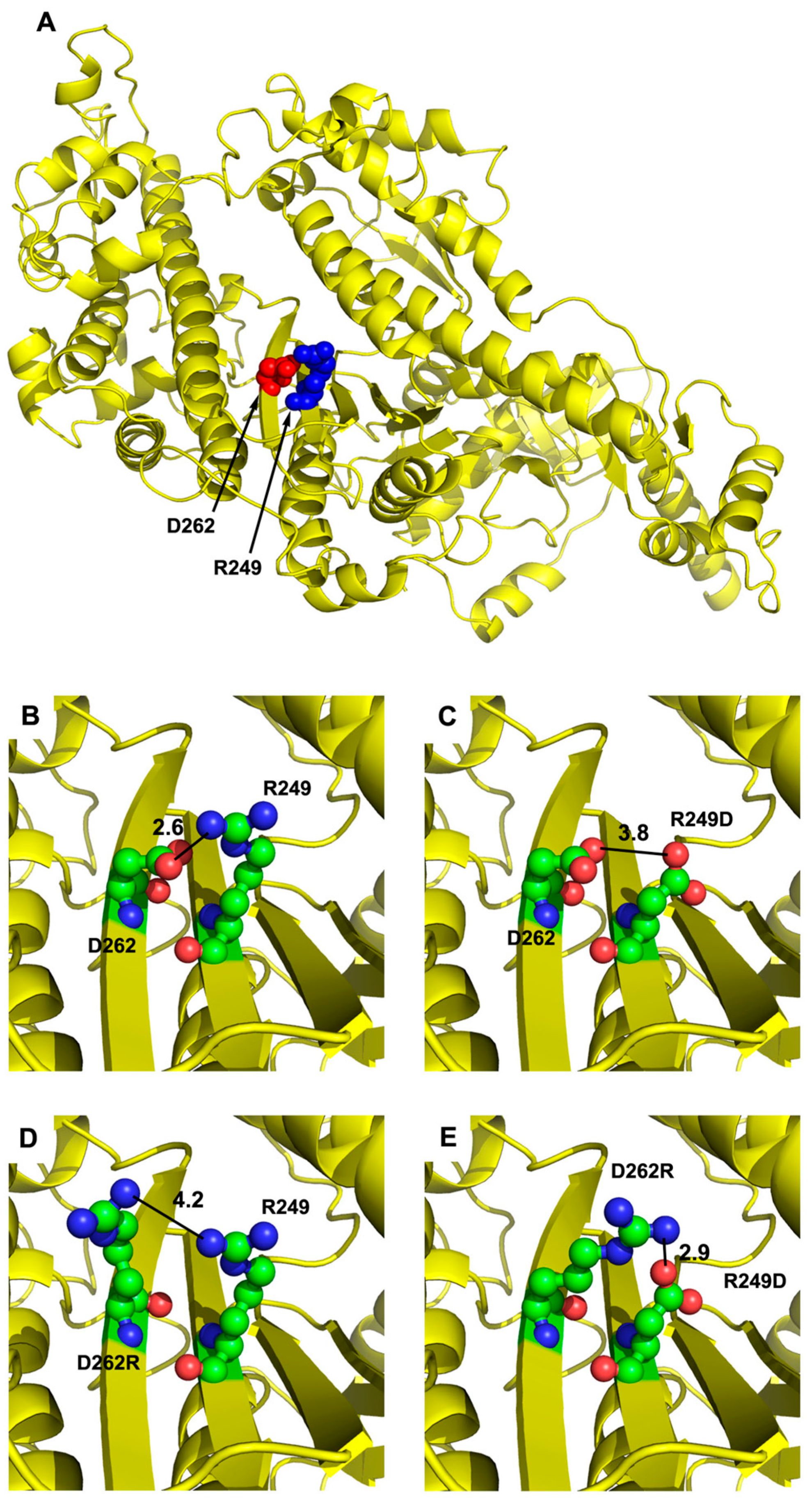 Biology 11 01137 g001