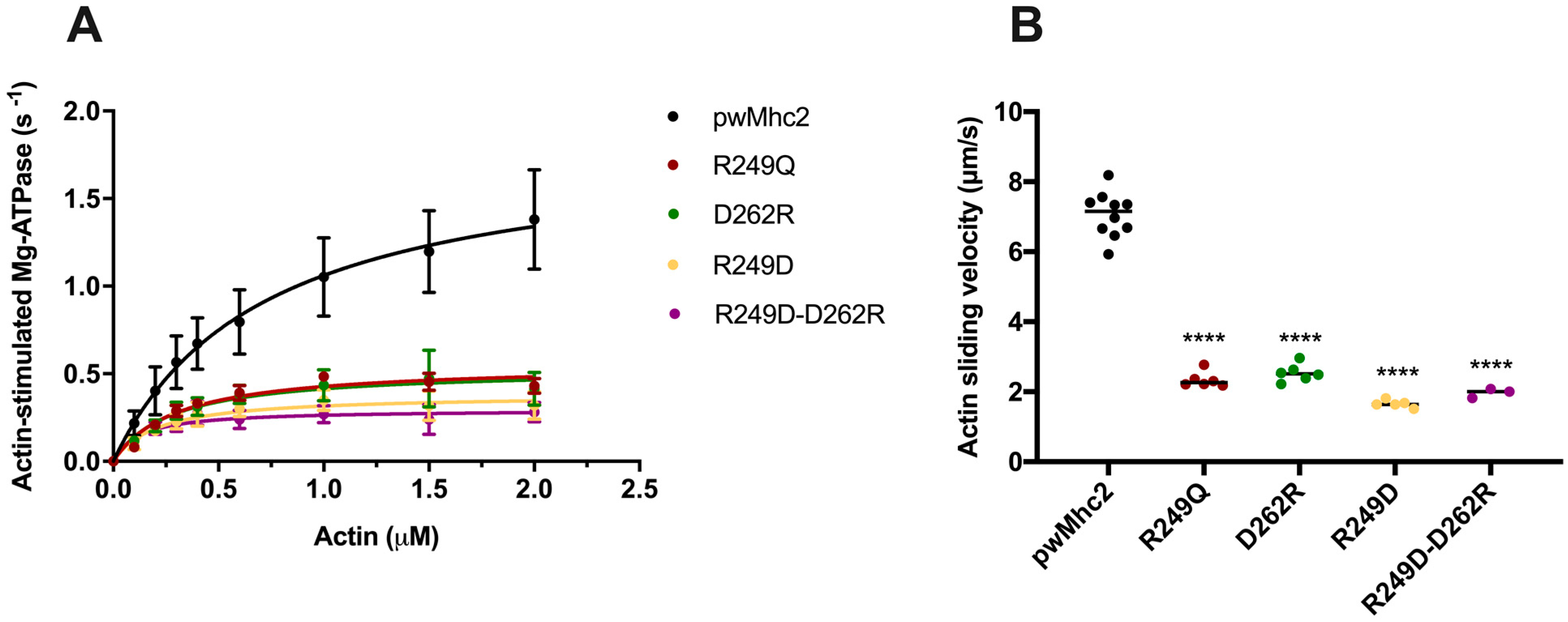Biology 11 01137 g005