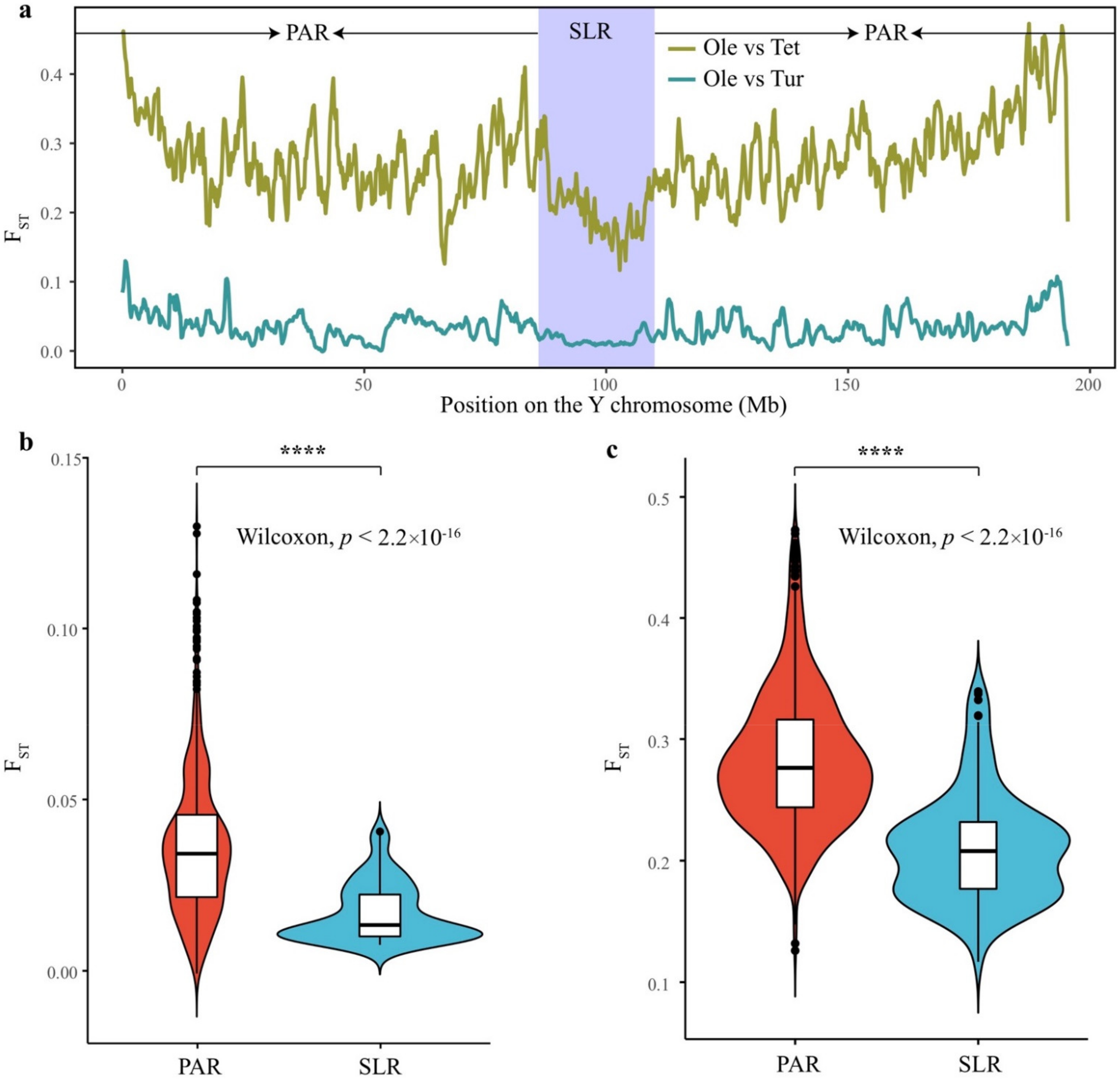 Biology 11 01138 g004