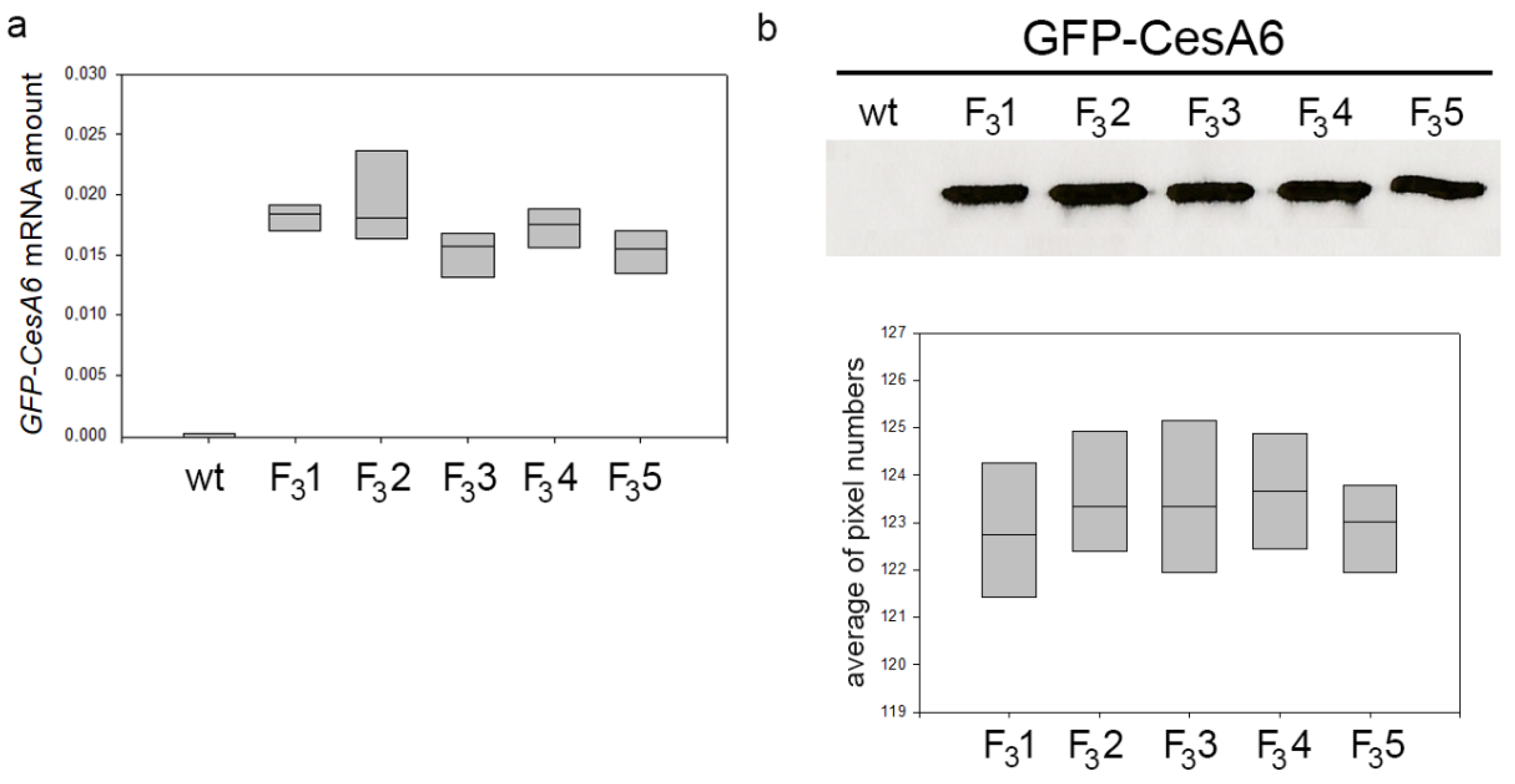 Biology 11 01139 g001