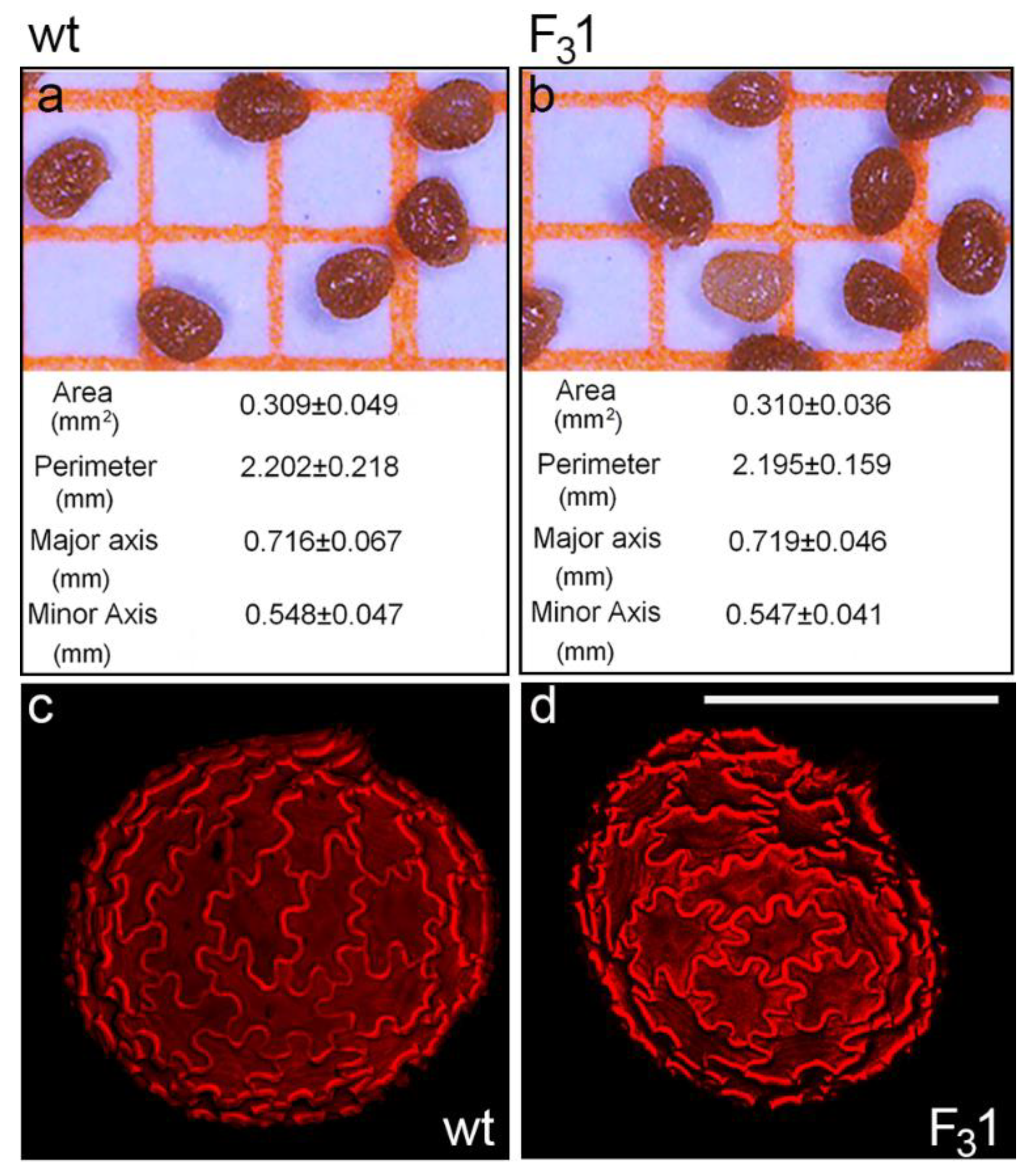 Biology 11 01139 g002