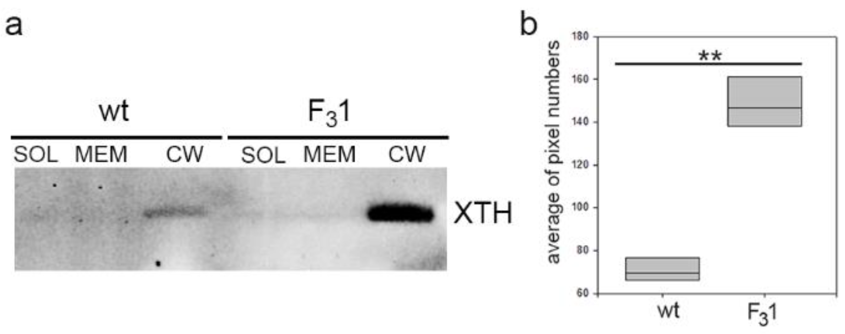 Biology 11 01139 g008