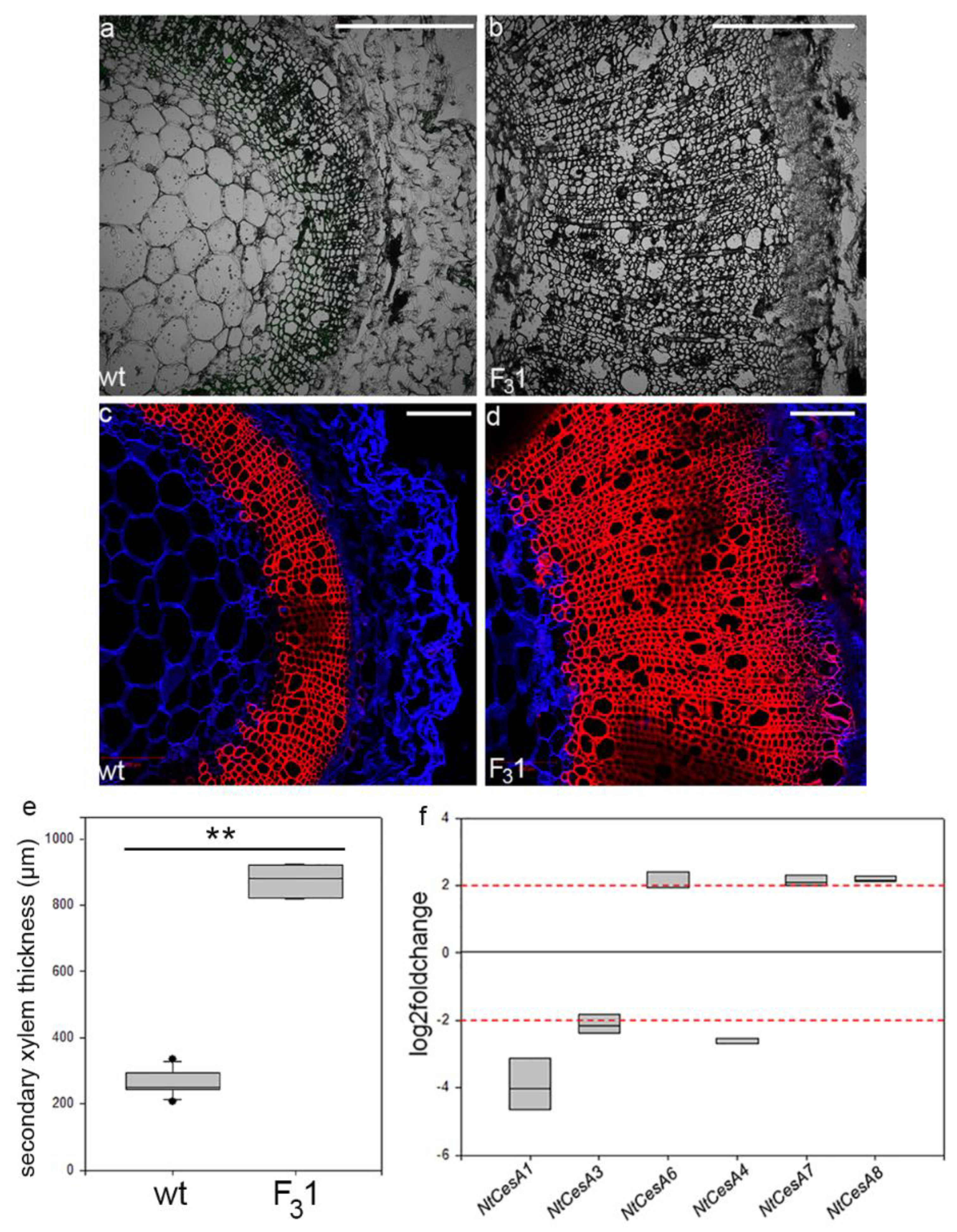 Biology 11 01139 g009