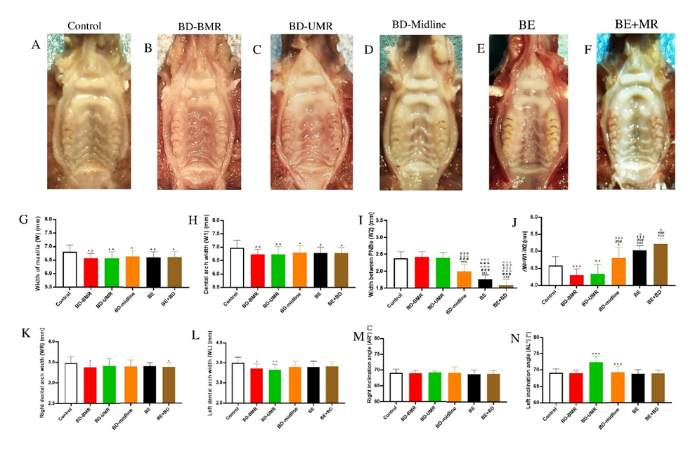 Biology 11 01142 g003 Biology 11 01142 g003