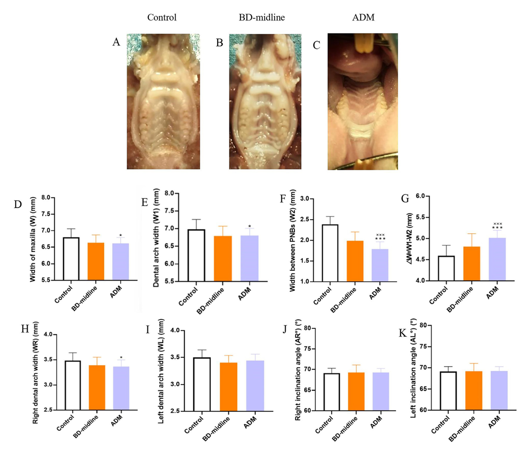 Biology 11 01142 g004 Biology 11 01142 g004