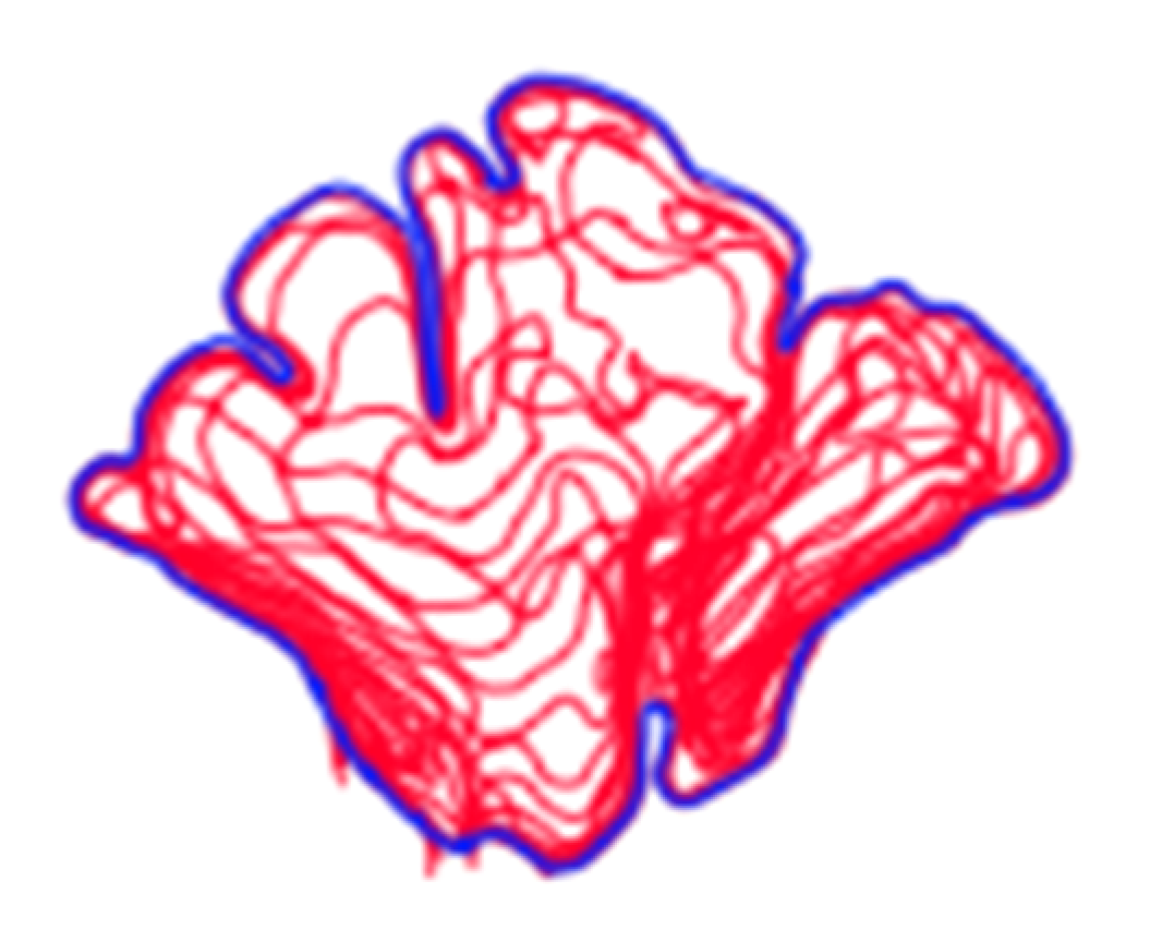 Biology 11 01145 g002