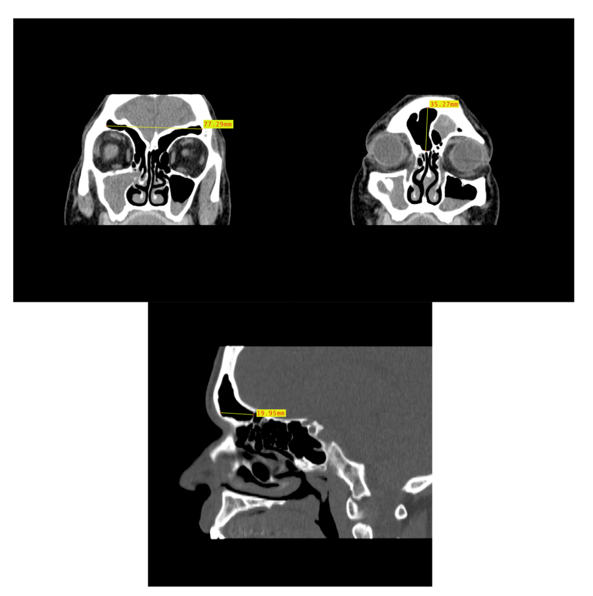 Biology 11 01145 g005