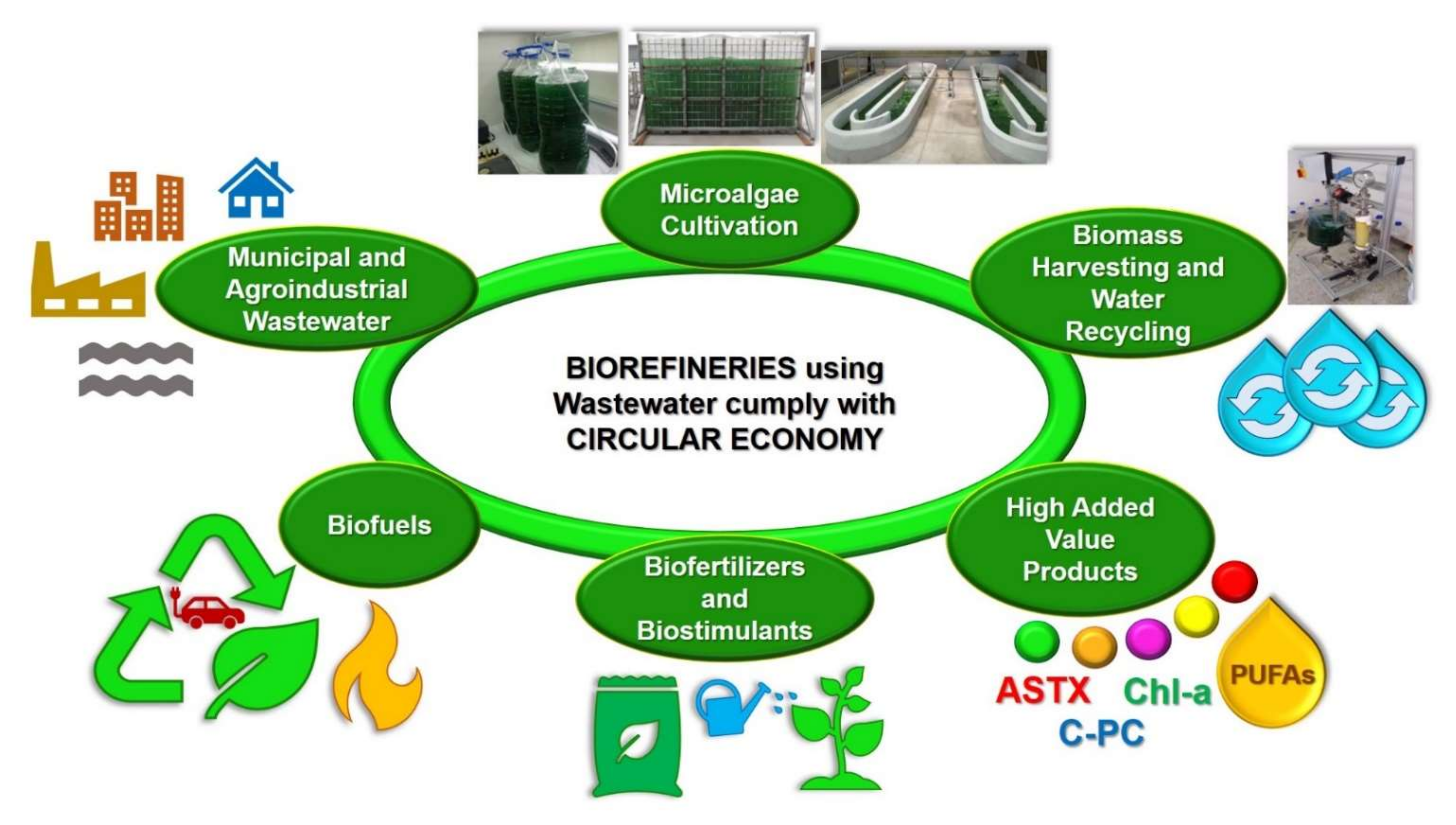 Biology 11 01146 g002
