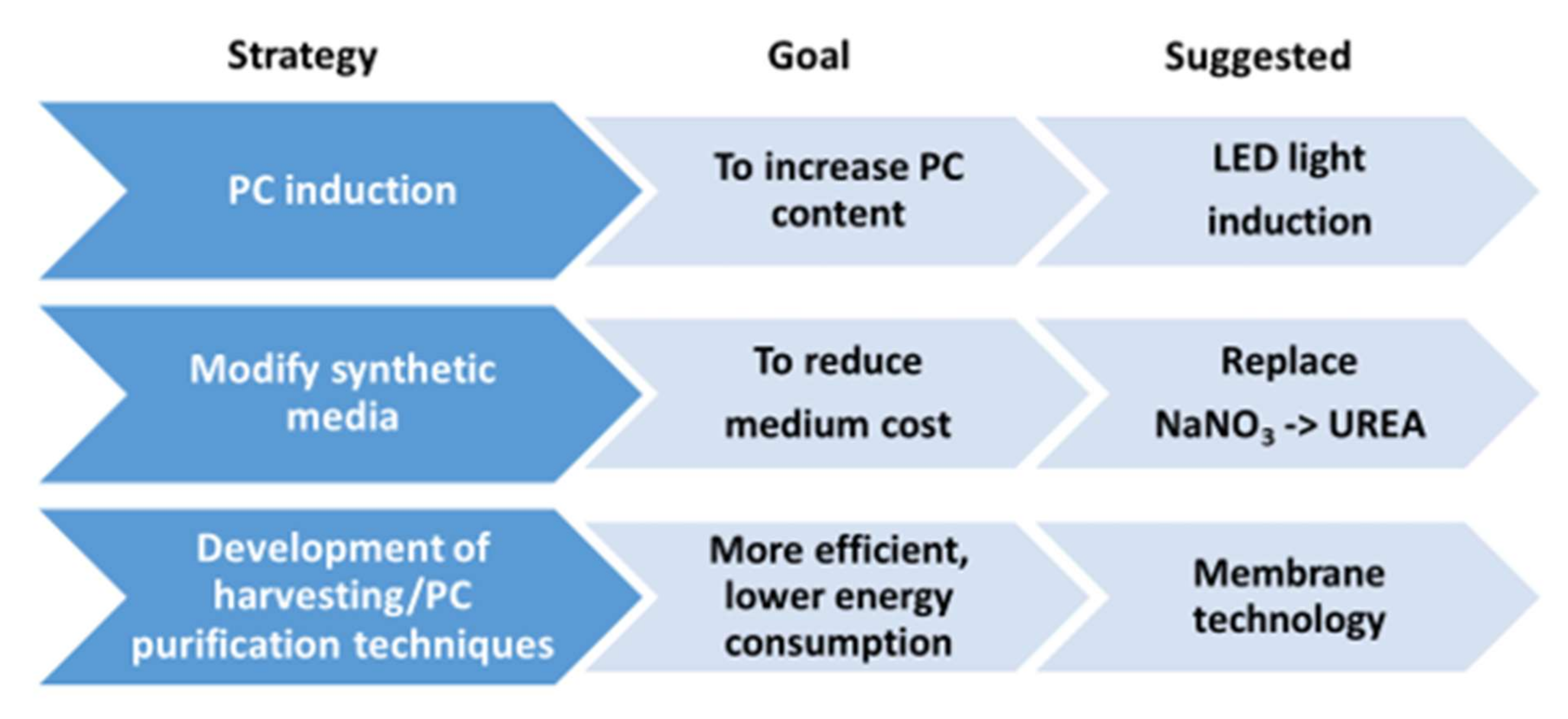 Biology 11 01146 g003