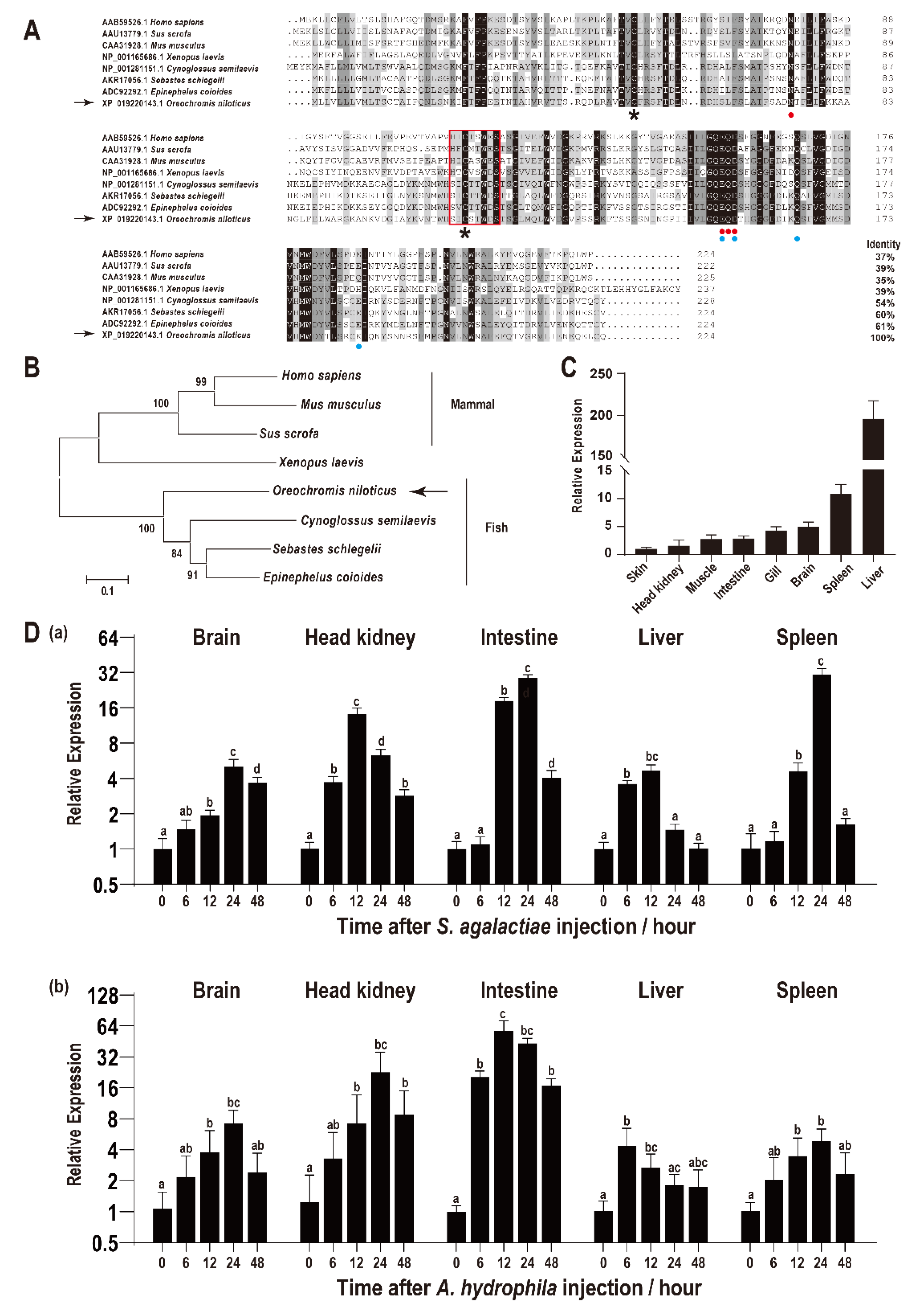 Biology 11 01149 g001