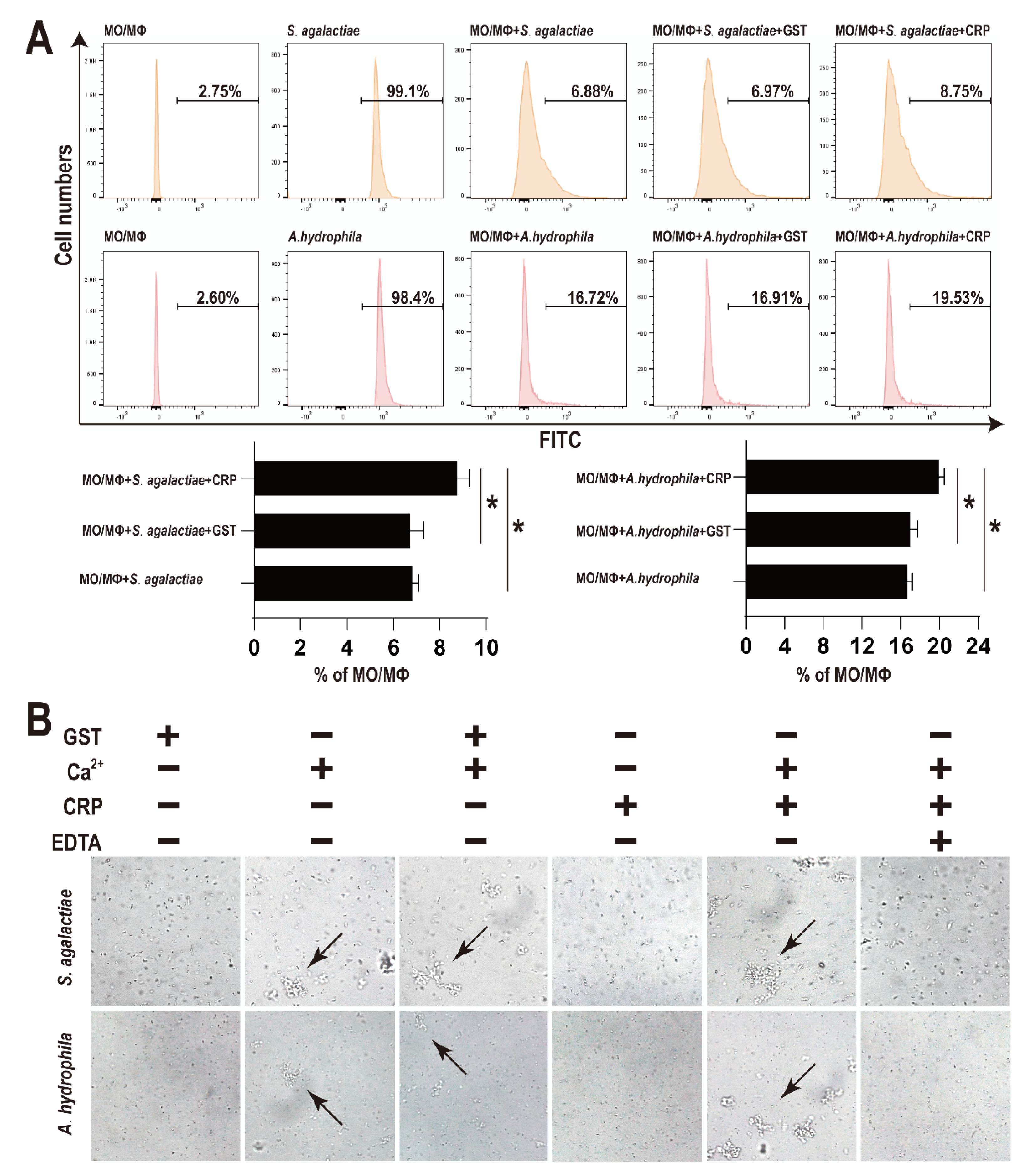 Biology 11 01149 g003
