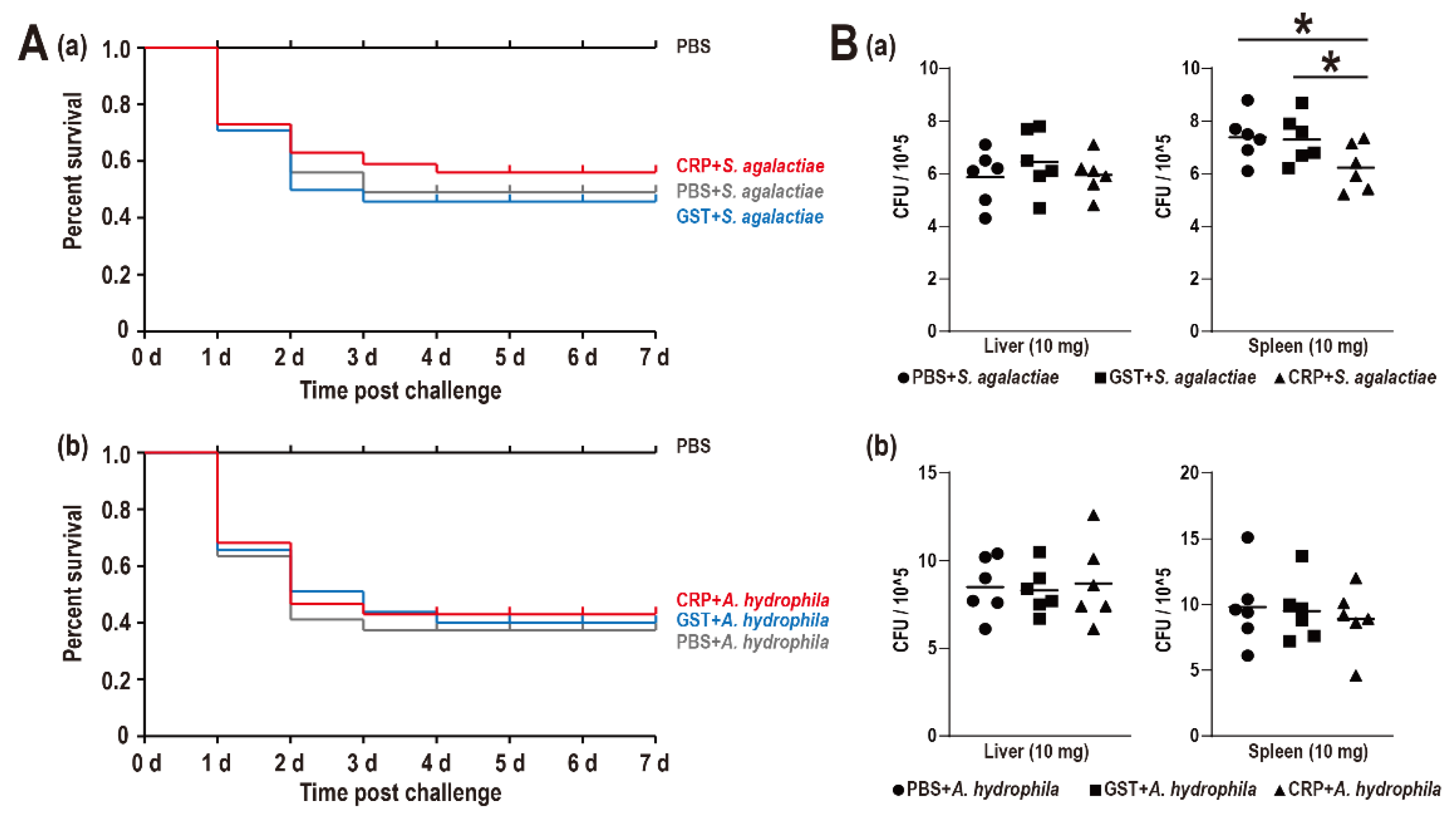 Biology 11 01149 g004