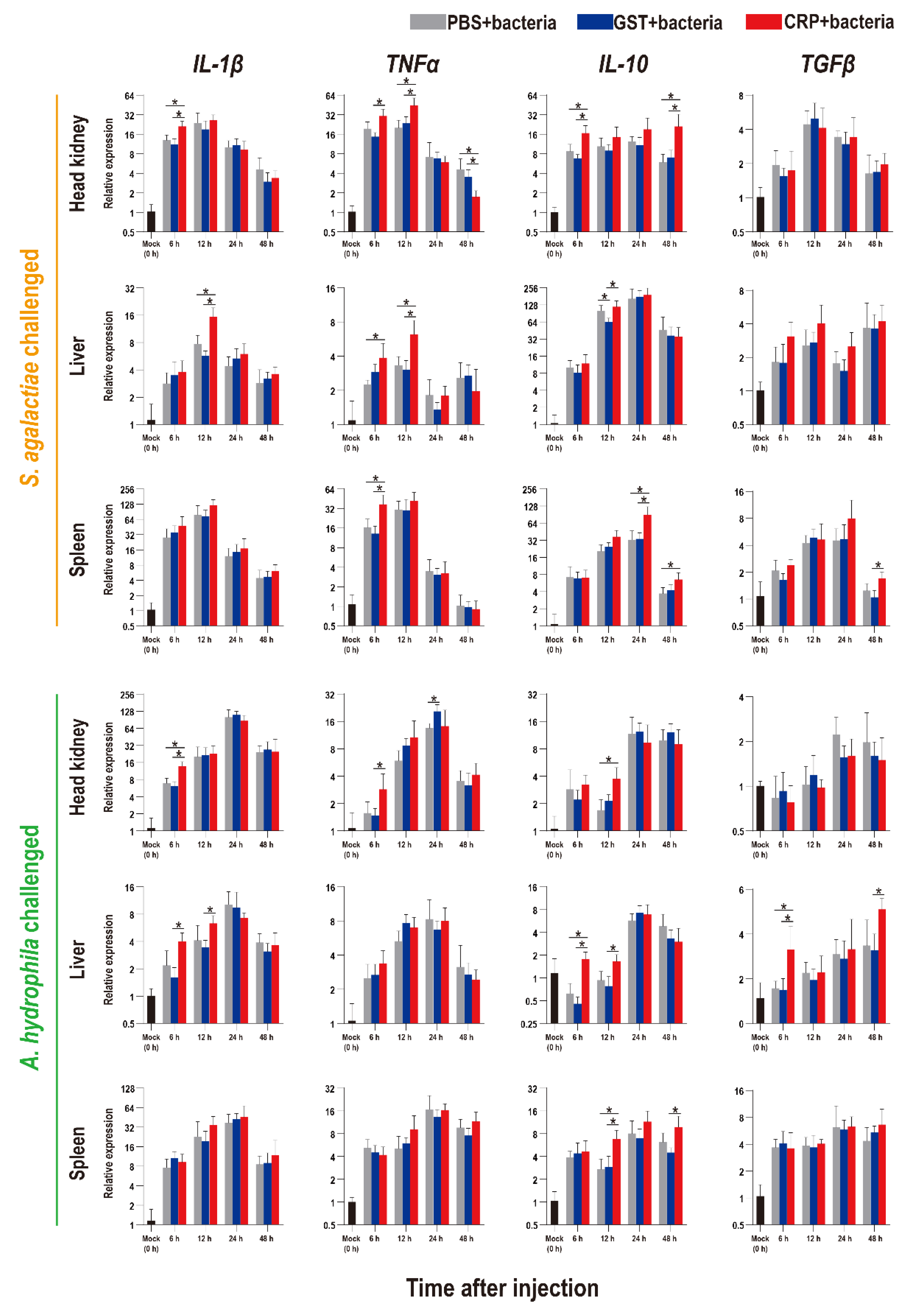 Biology 11 01149 g005