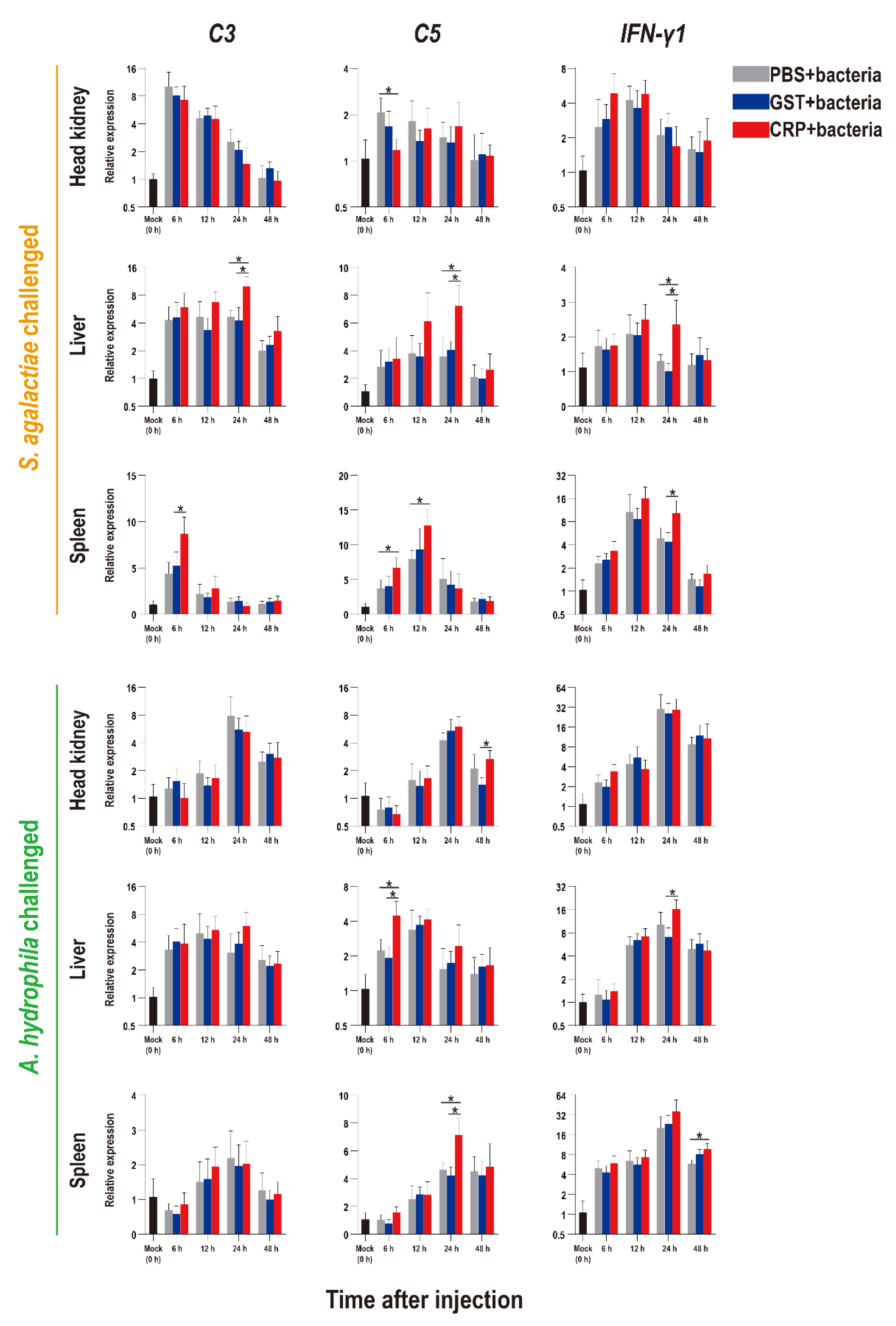 Biology 11 01149 g006