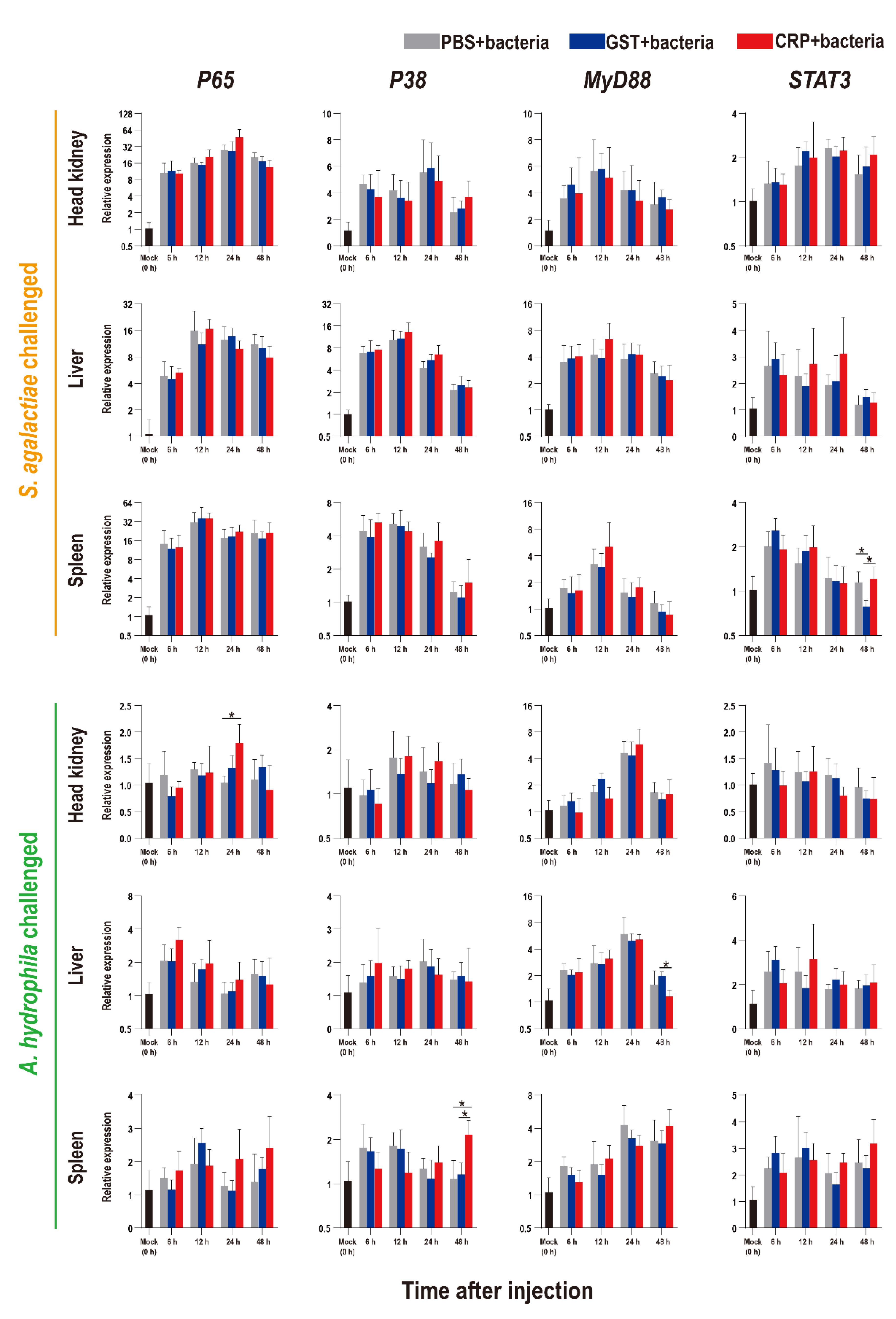 Biology 11 01149 g007