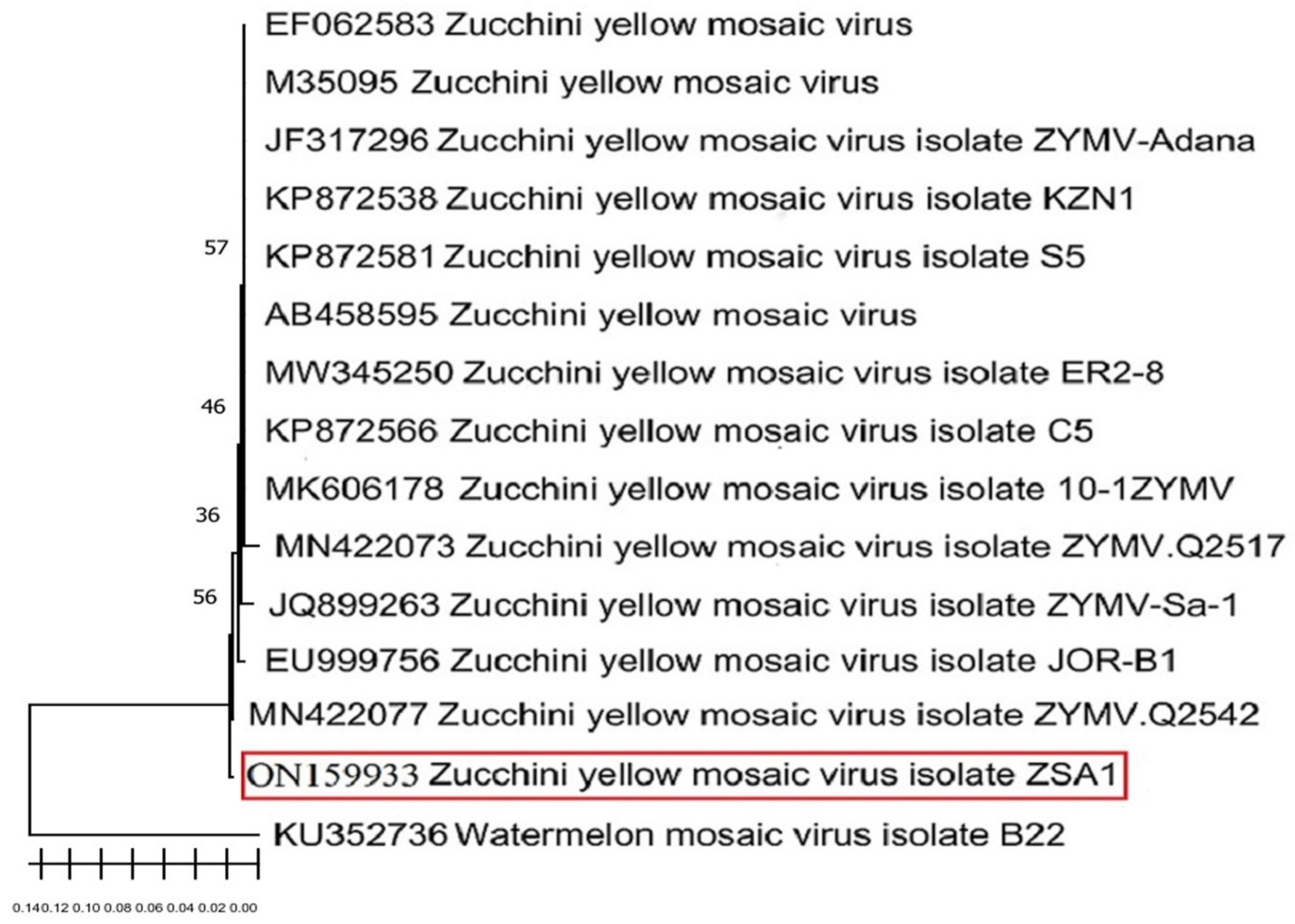 Biology 11 01150 g001
