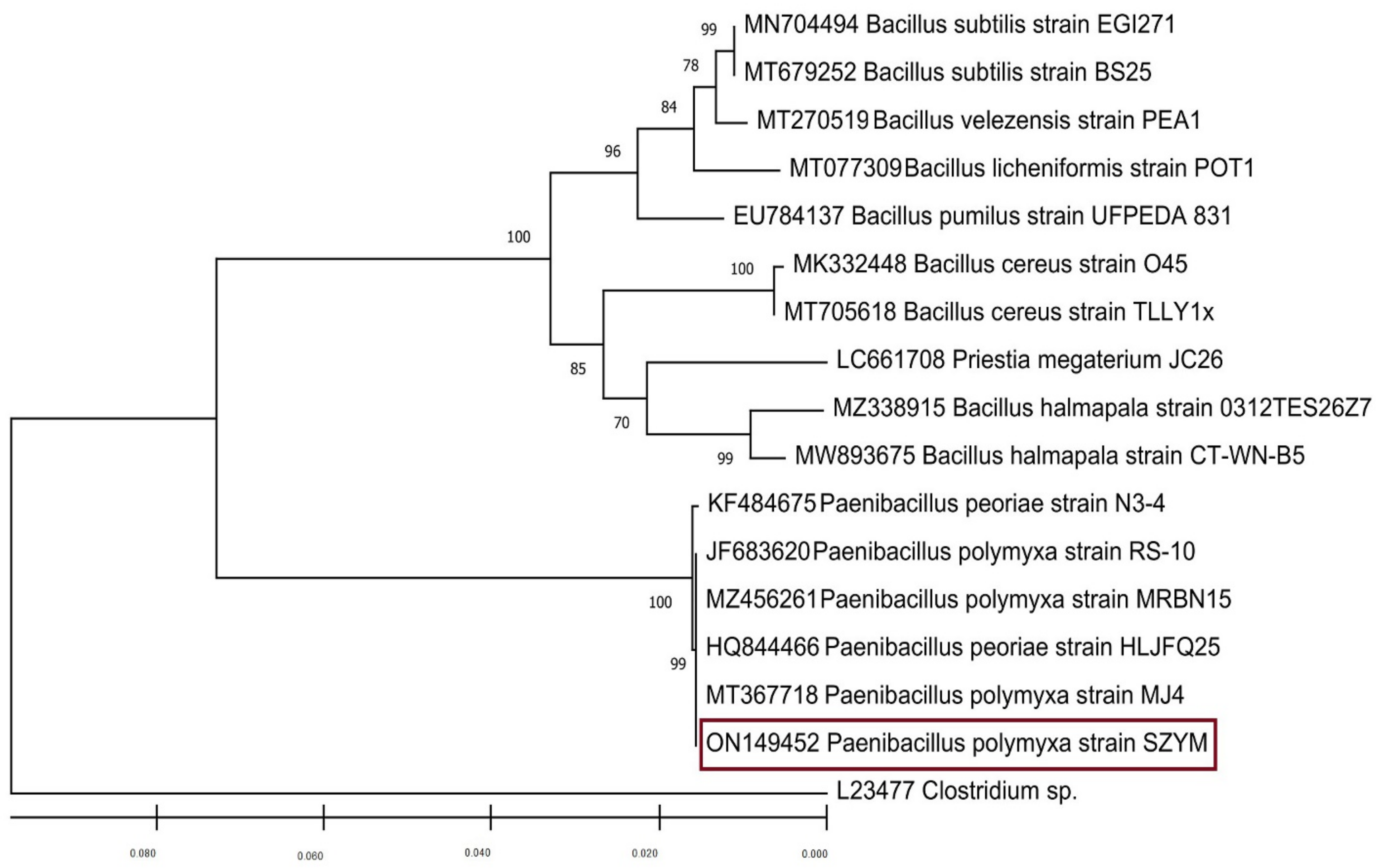 Biology 11 01150 g002