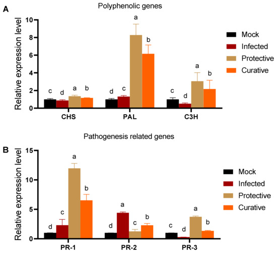 Biology 11 01150 g006 550
