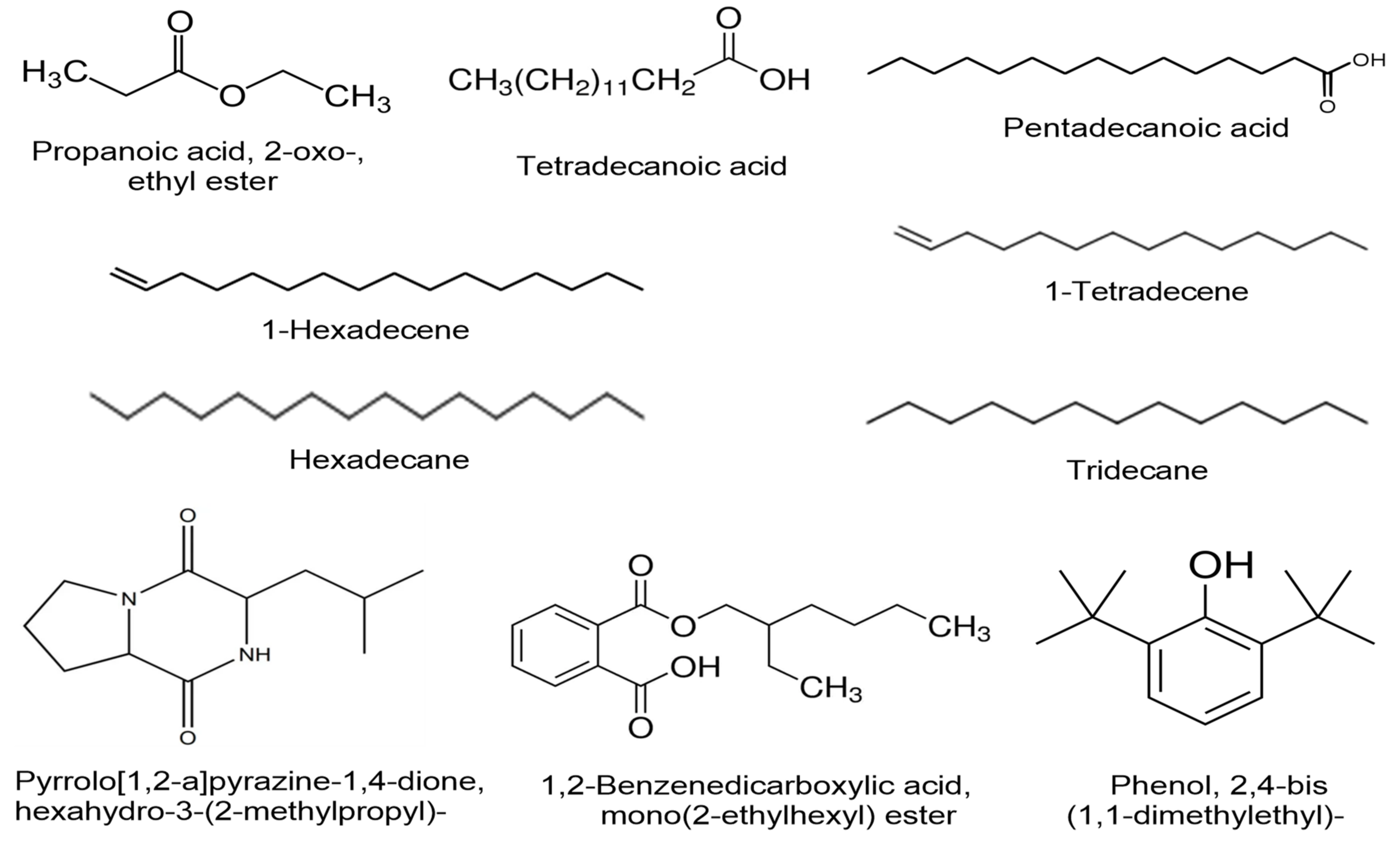 Biology 11 01150 g007