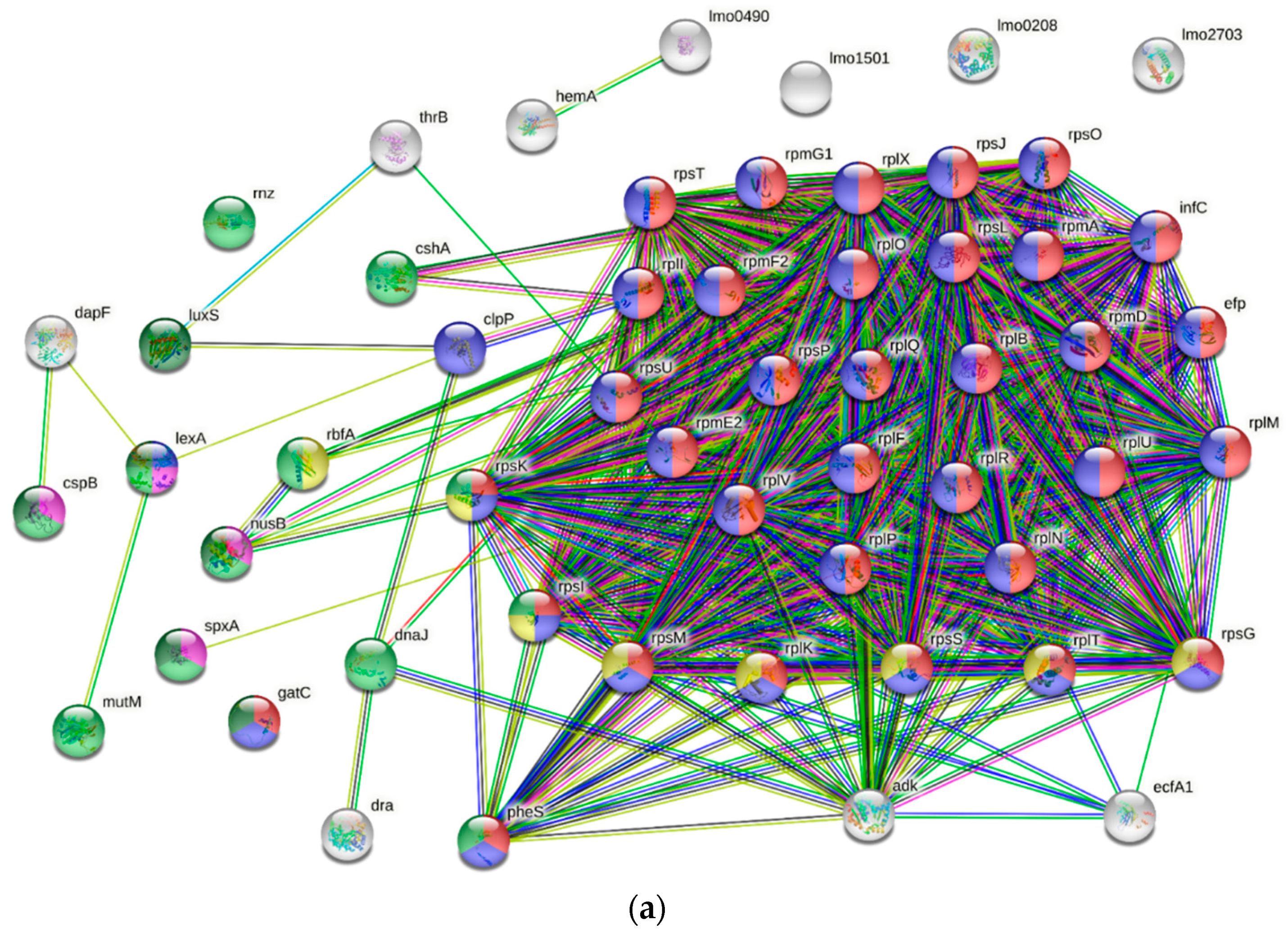 Biology 11 01152 g003a
