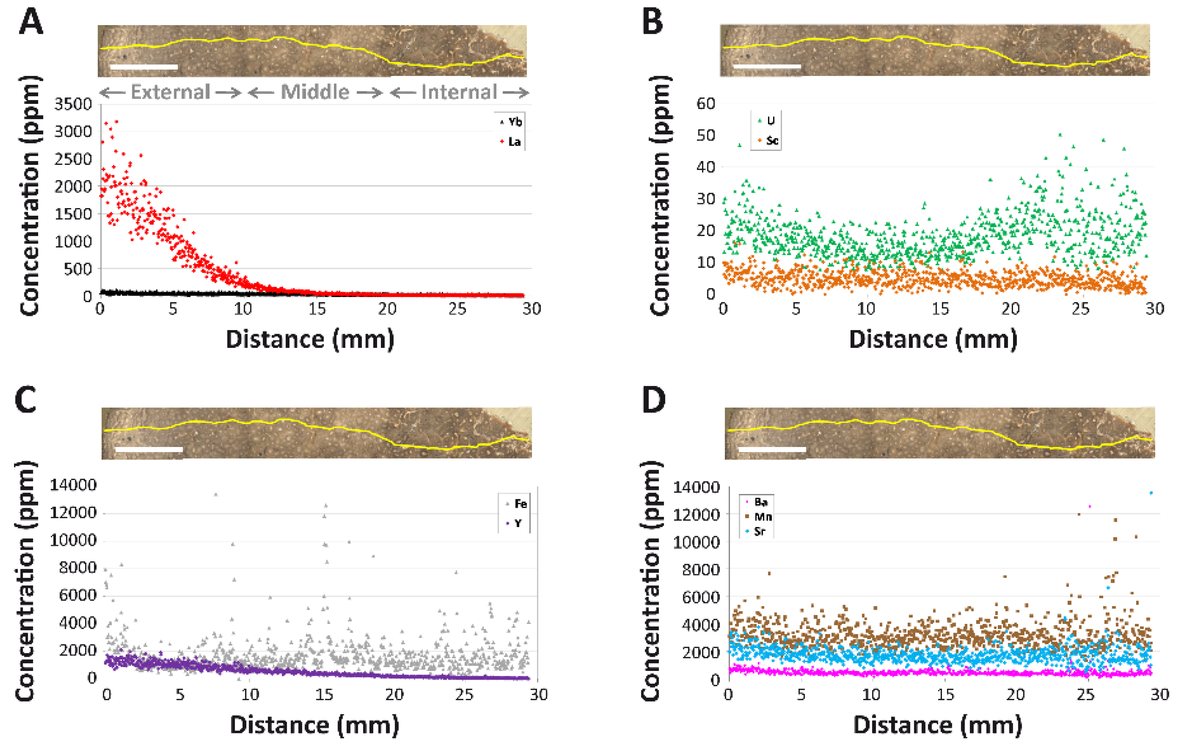 Biology 11 01158 g004