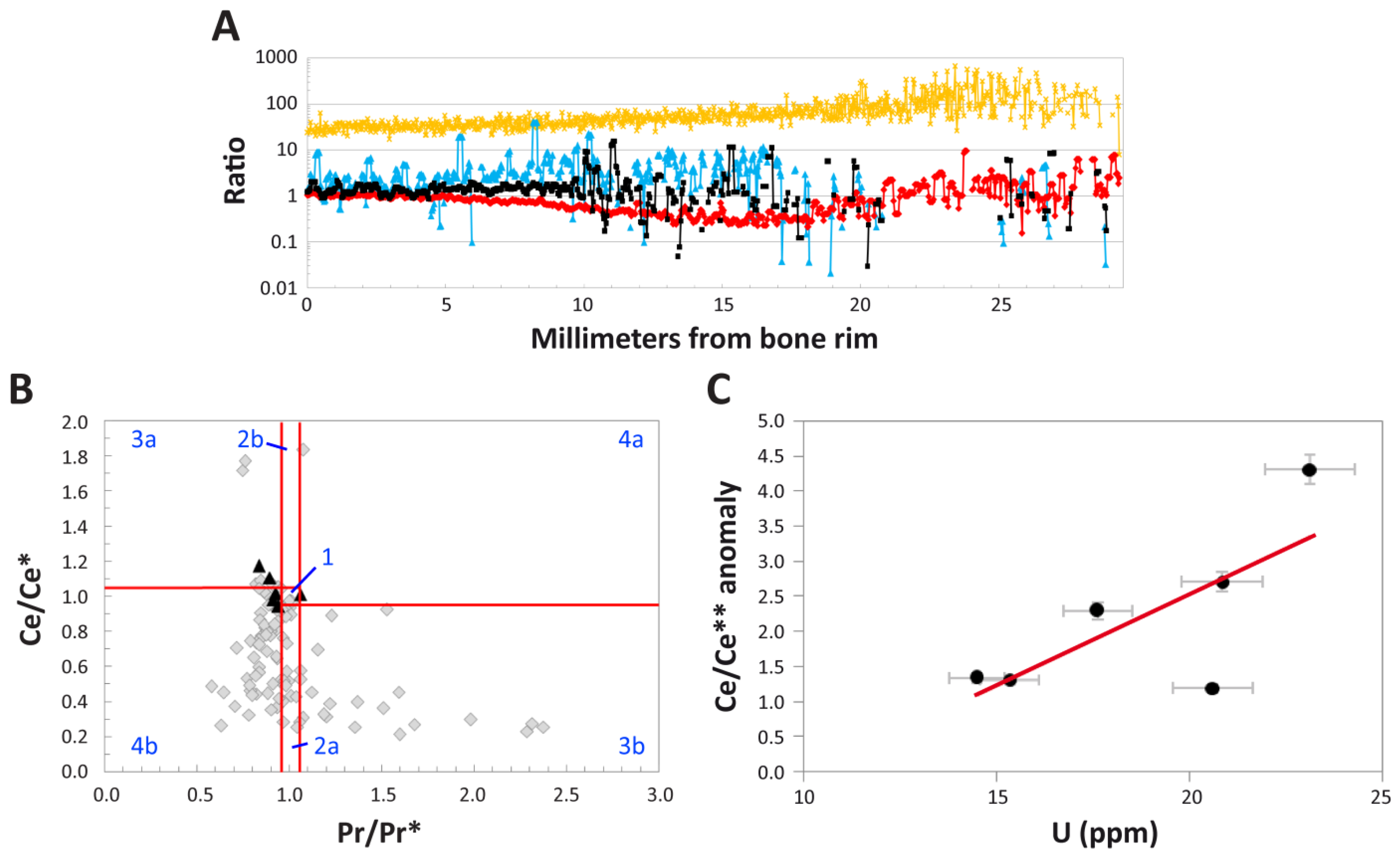 Biology 11 01158 g008
