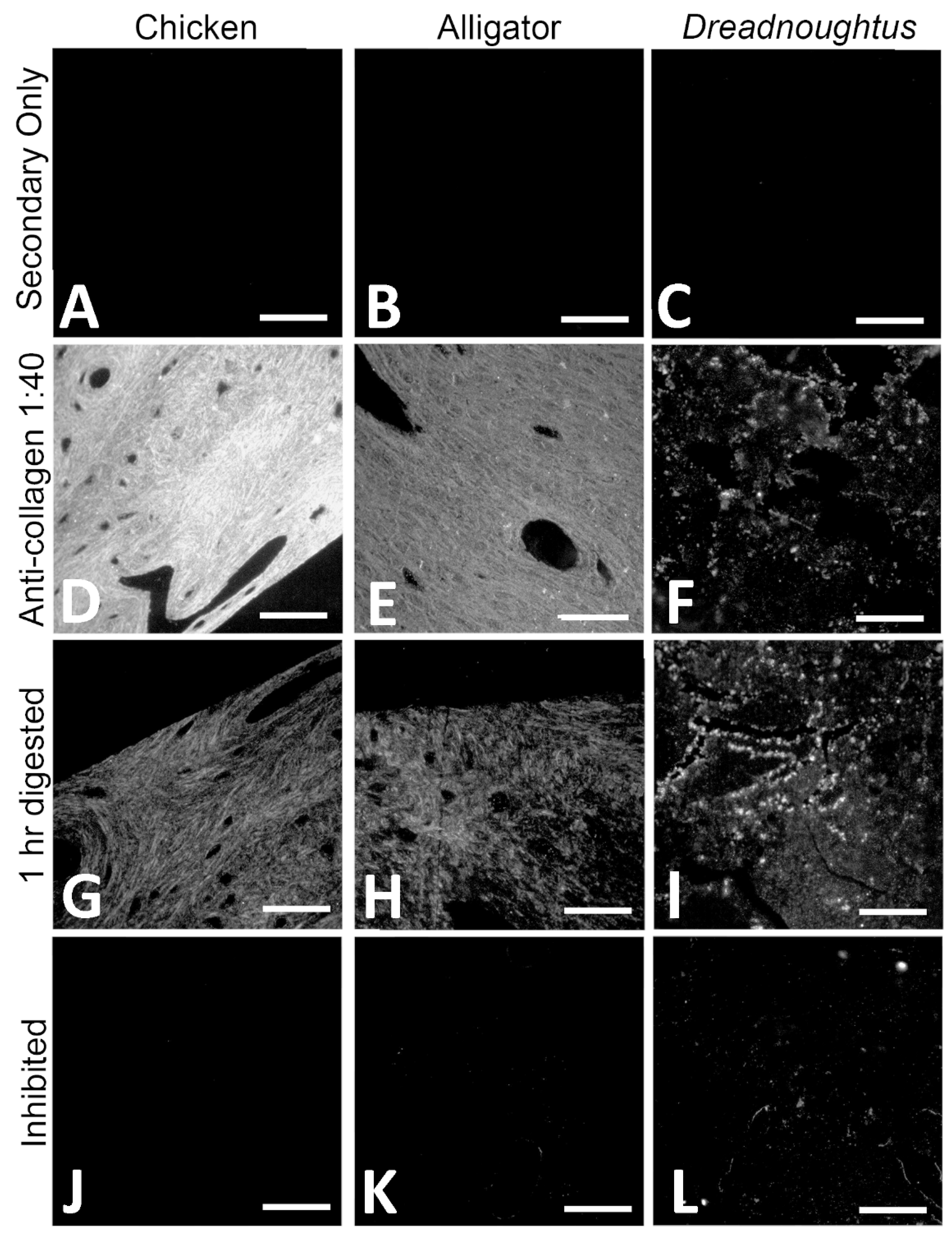 Biology 11 01158 g010