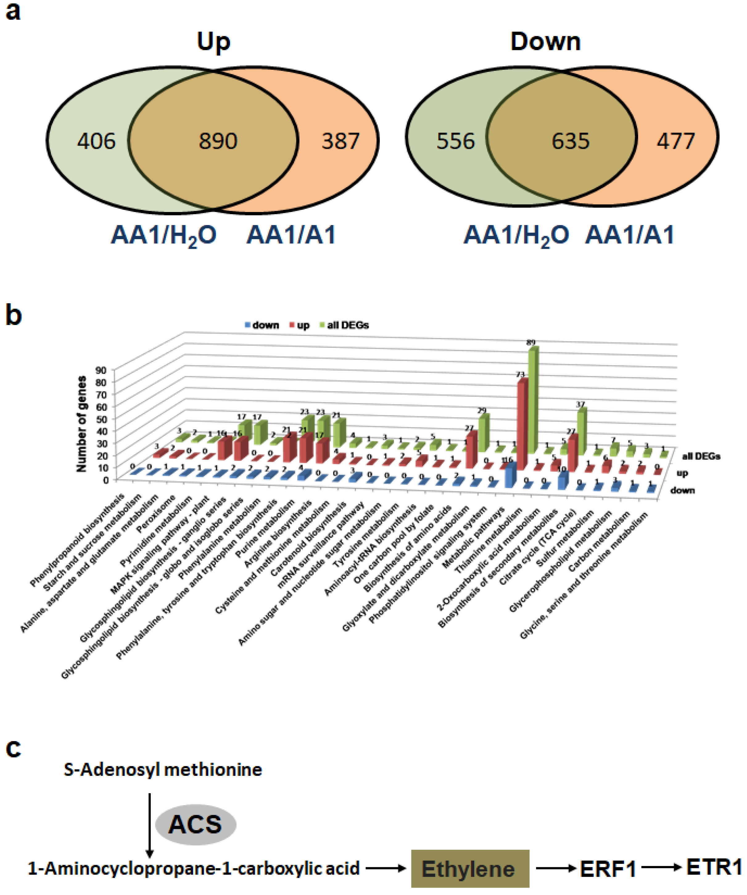 Biology 11 01170 g005