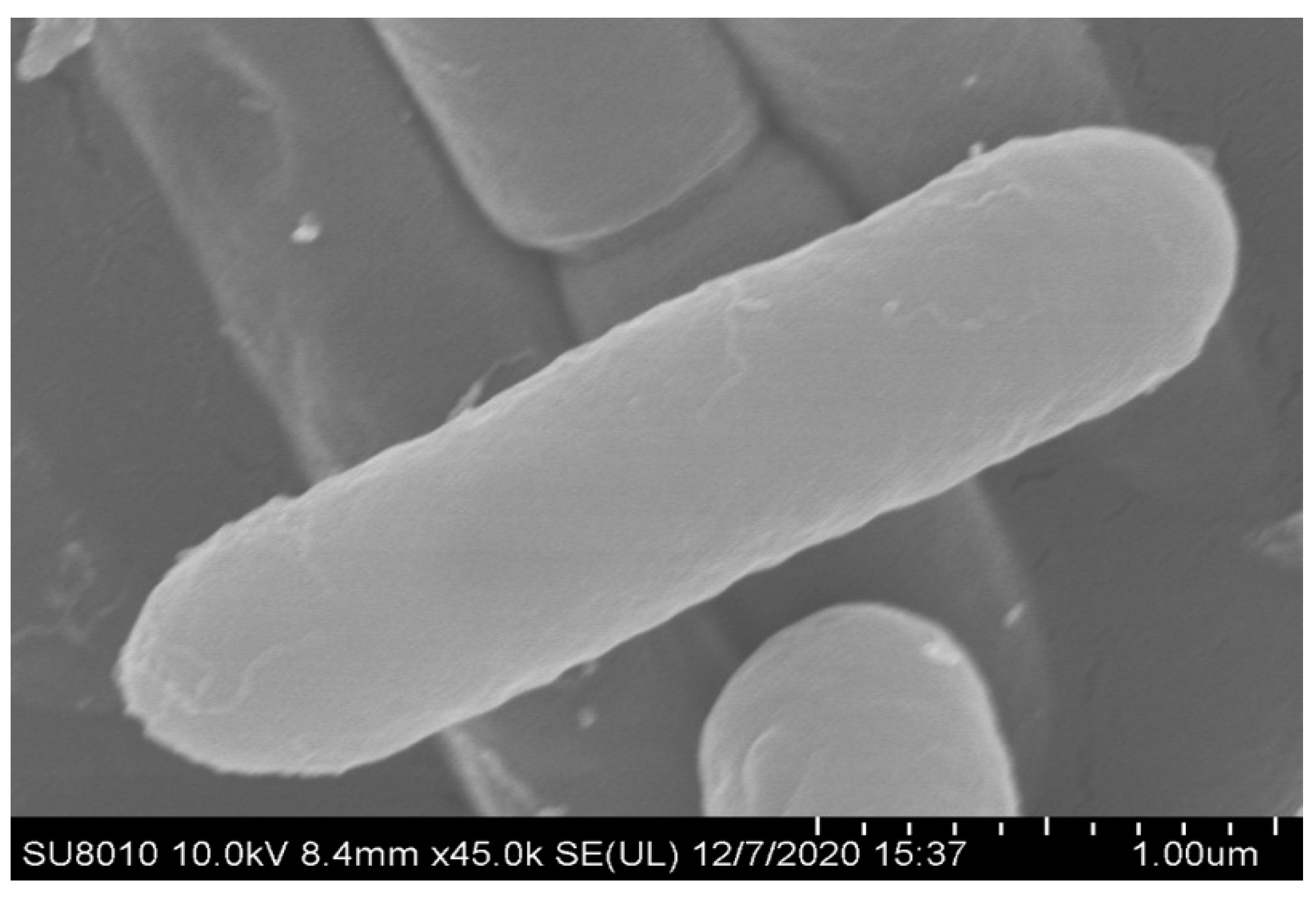 Biology 11 01172 g003