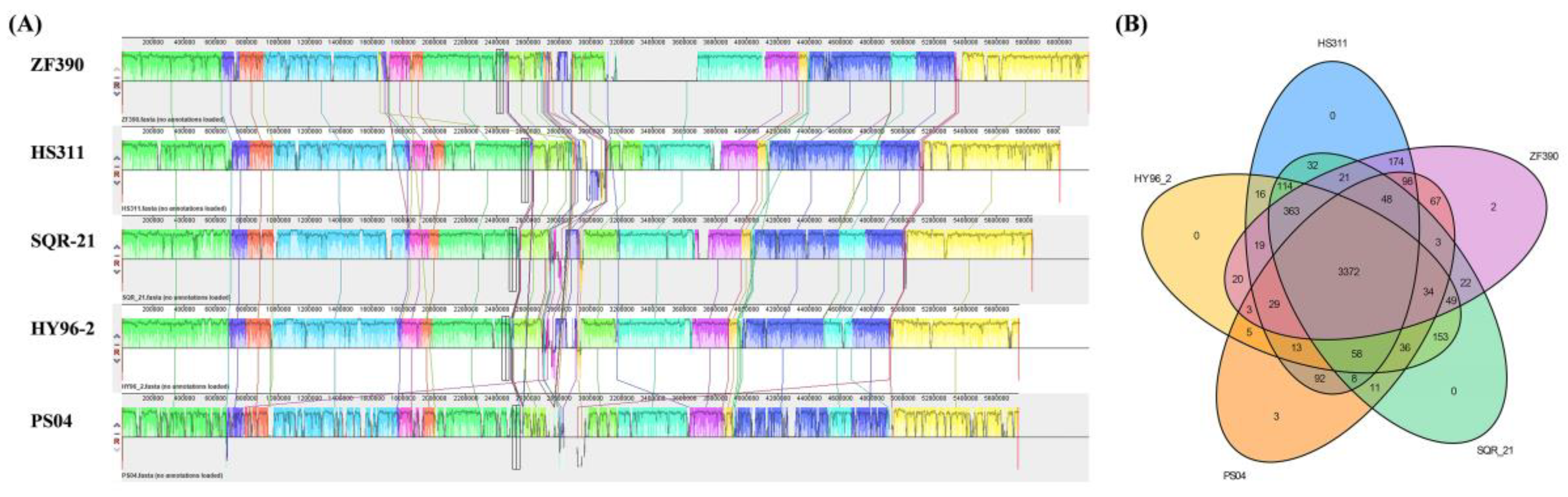 Biology 11 01172 g006