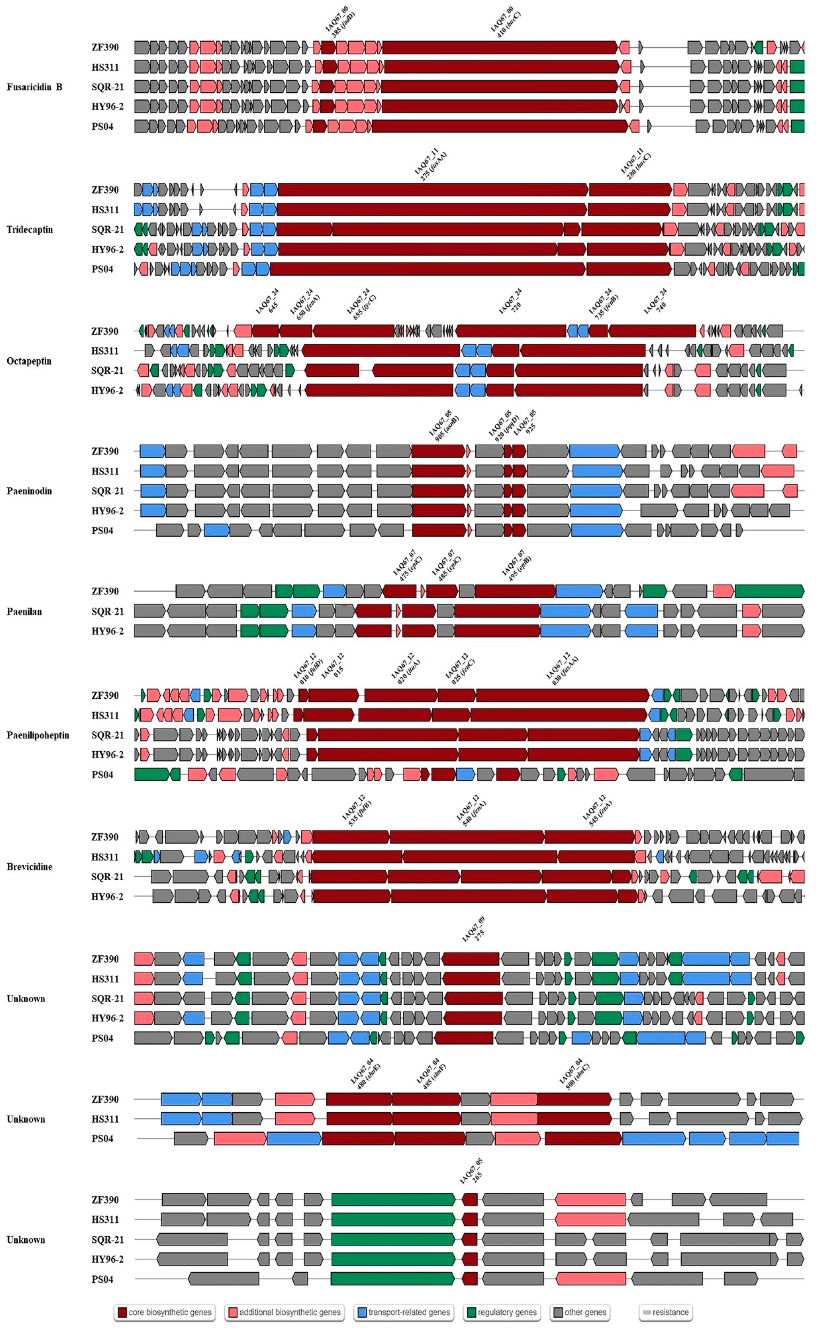 Biology 11 01172 g007
