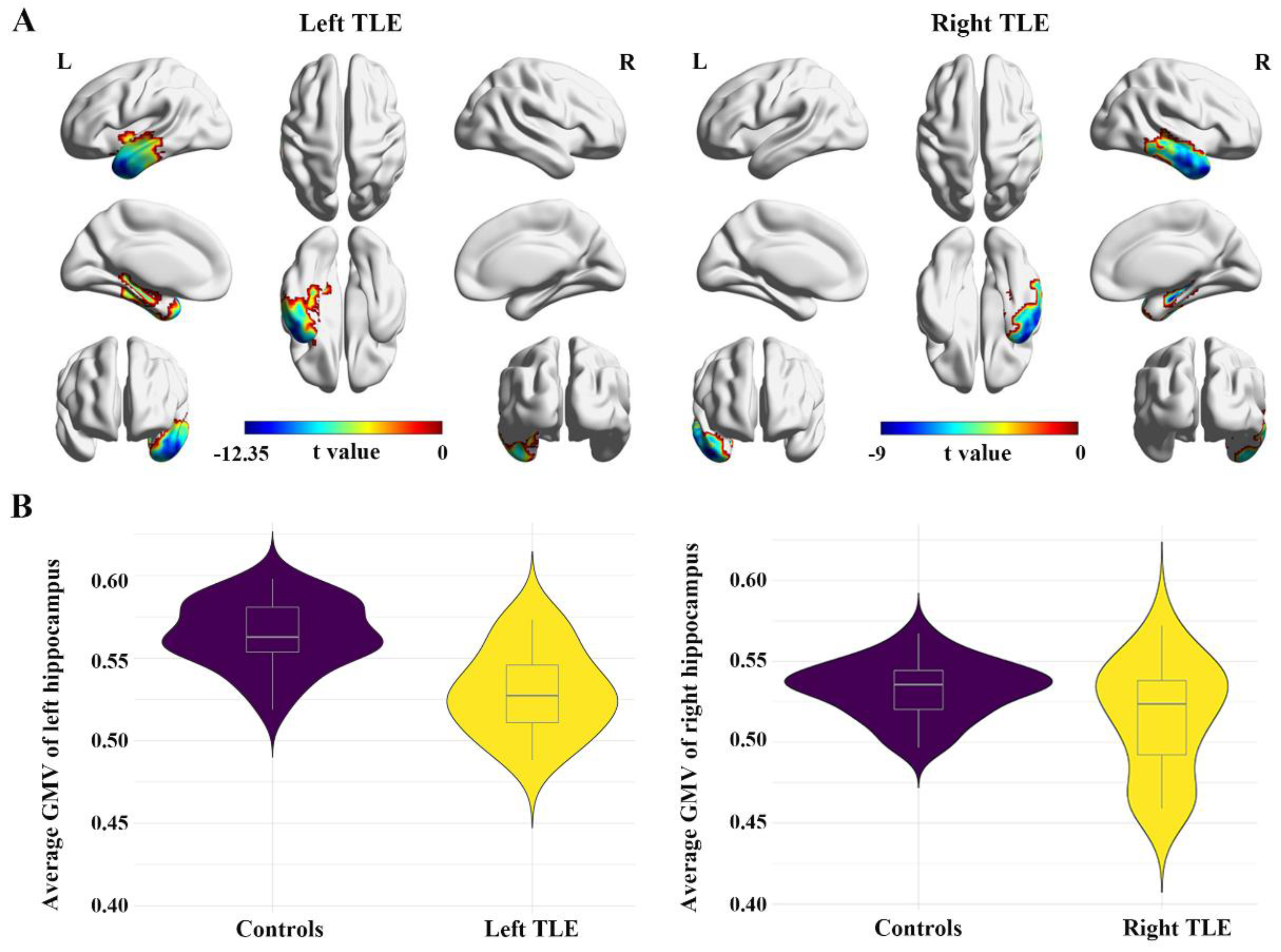 Biology 11 01178 g002