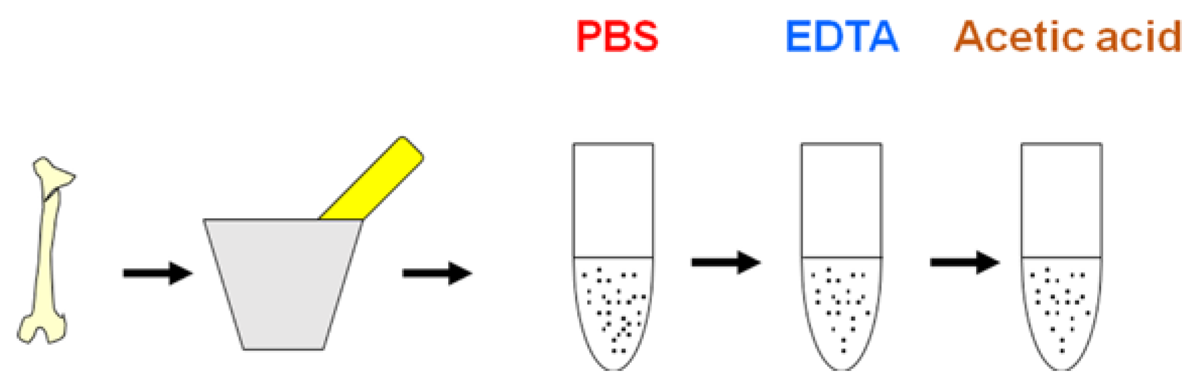 Biology 11 01184 g001 Biology 11 01184 g001