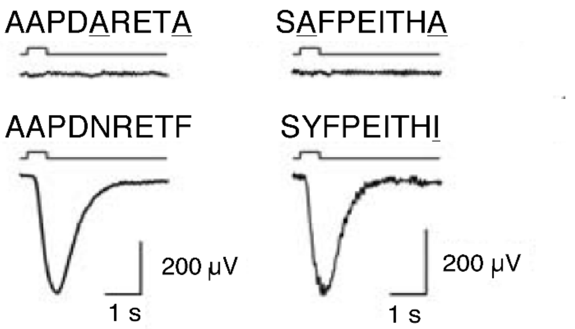 Biology 11 01187 g002 Biology 11 01187 g002