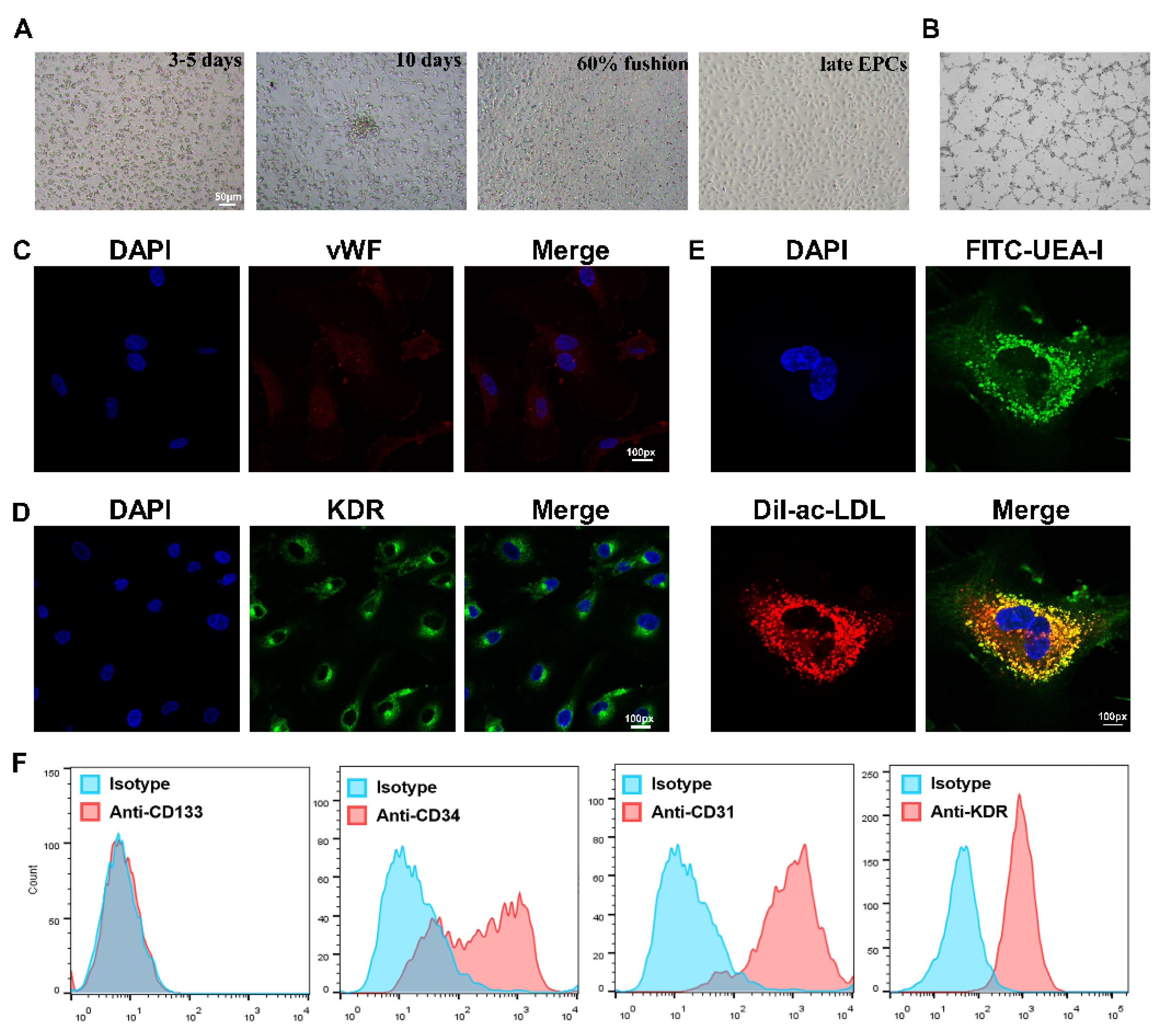 Biology 11 01194 g001