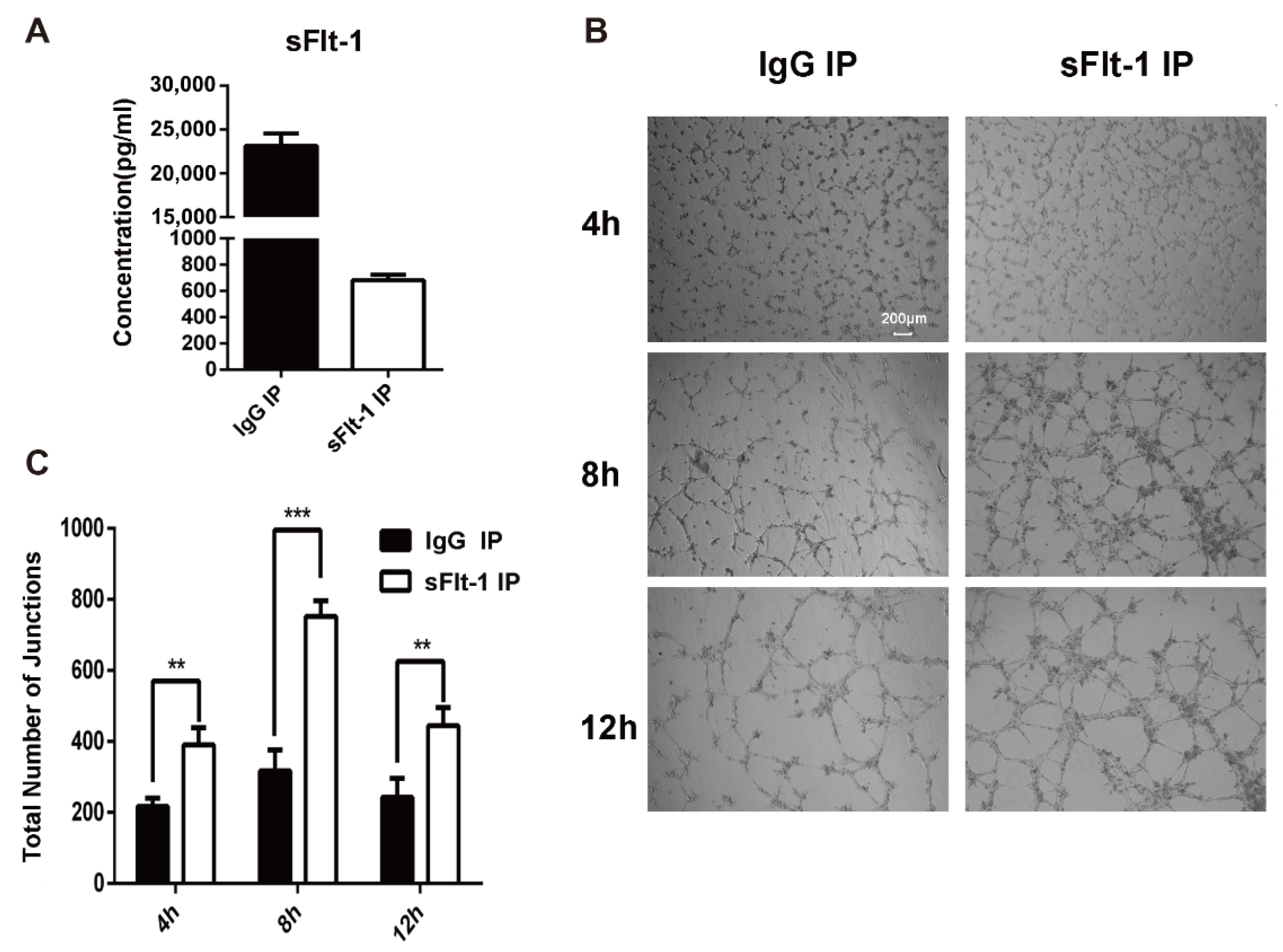 Biology 11 01194 g006