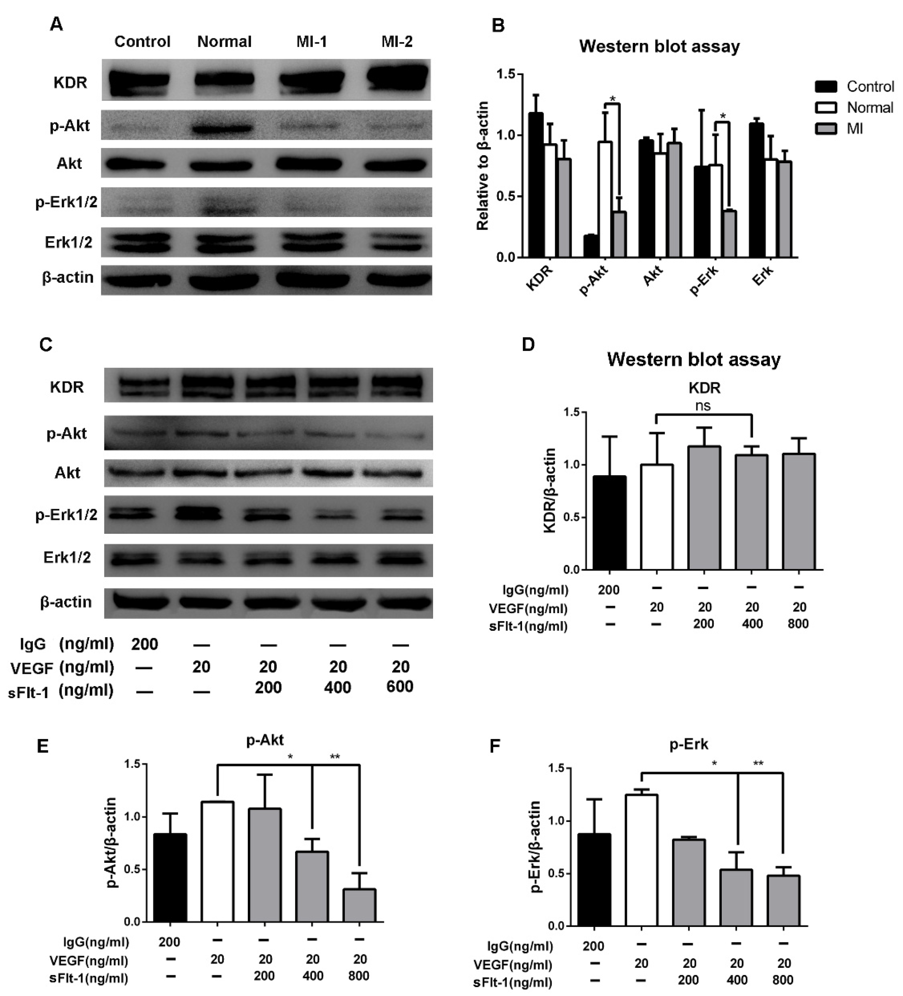 Biology 11 01194 g007