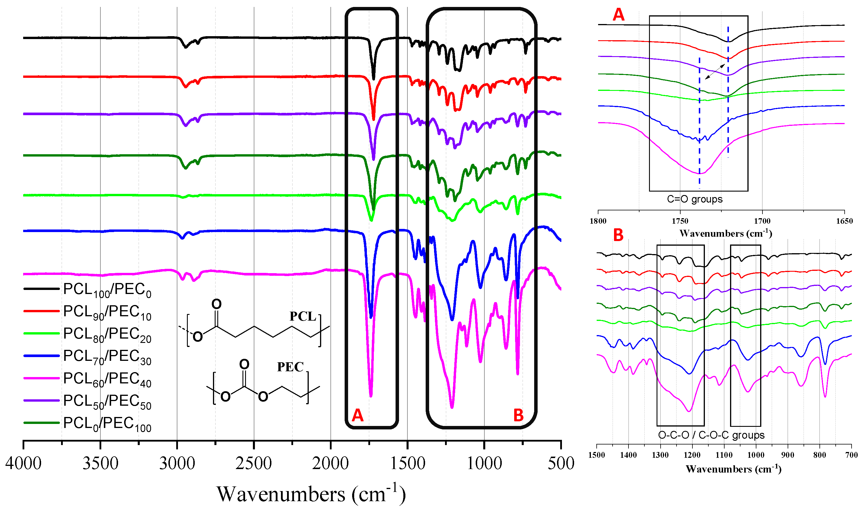 Biology 11 01201 g001