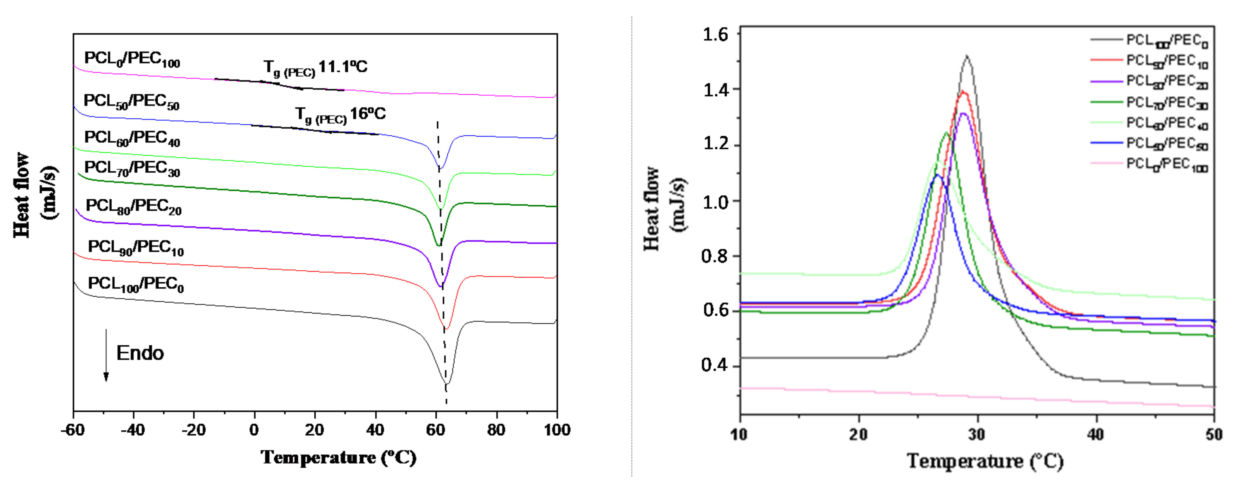 Biology 11 01201 g003