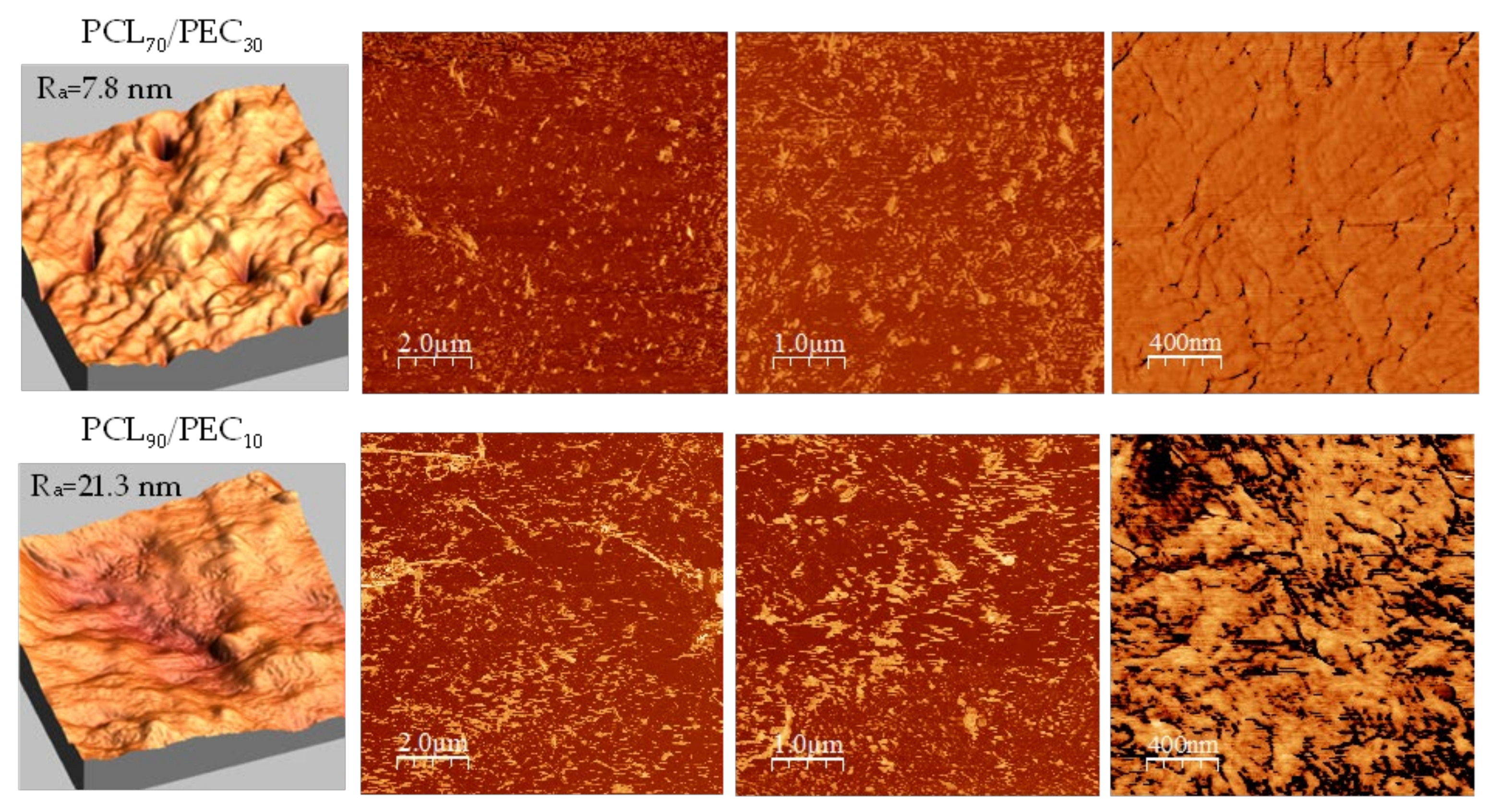 Biology 11 01201 g004