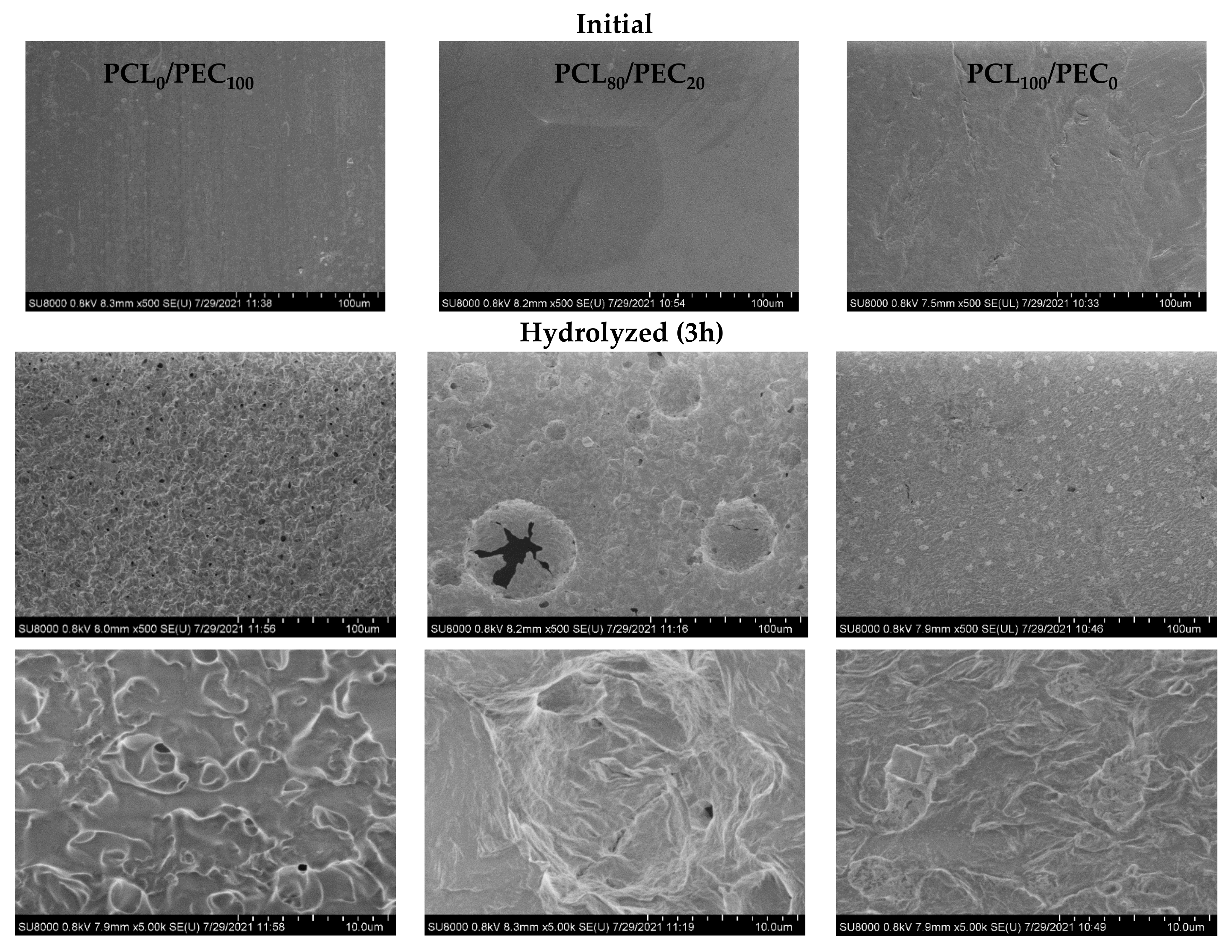 Biology 11 01201 g006