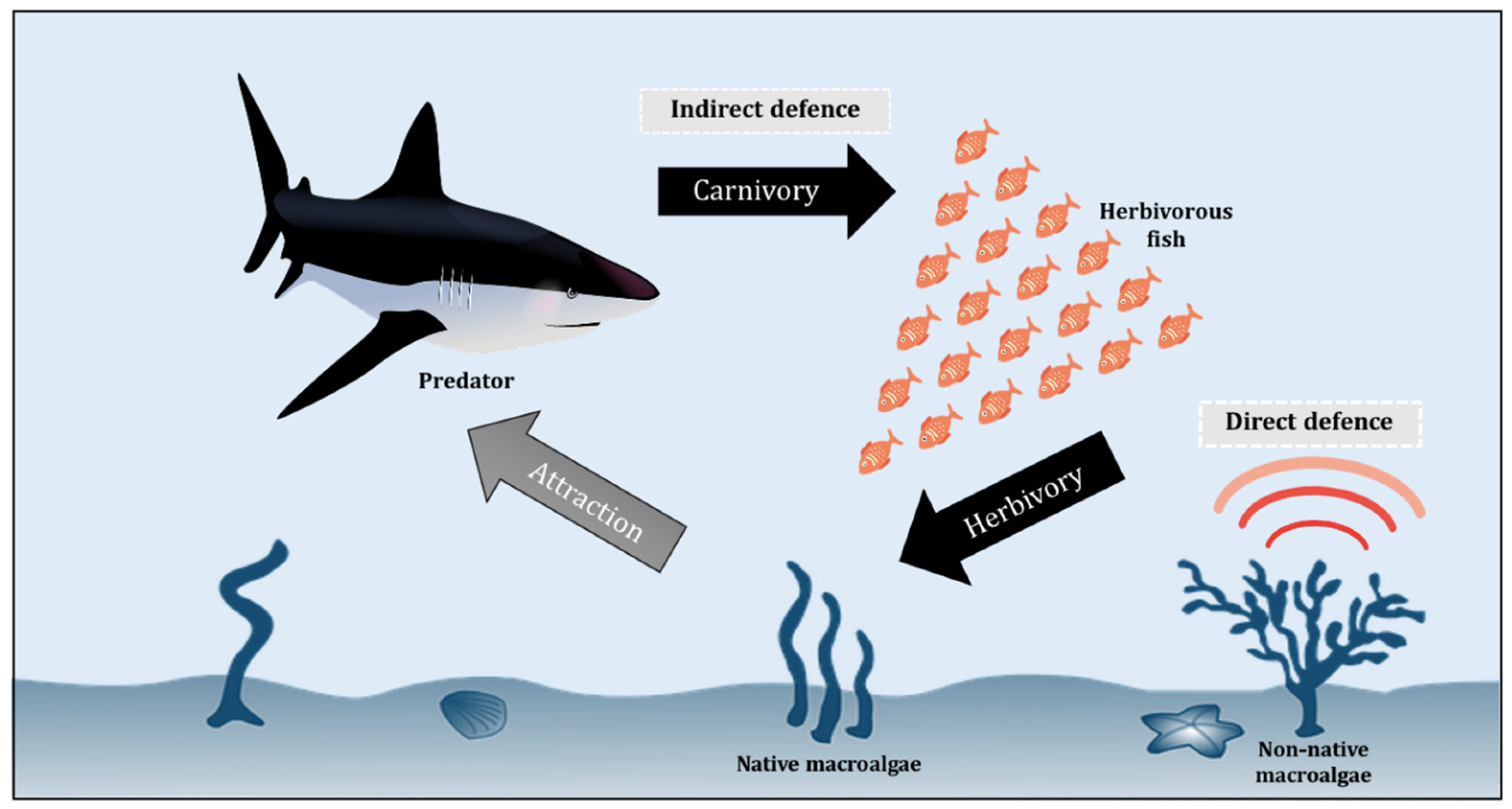 Biology 11 01209 g002