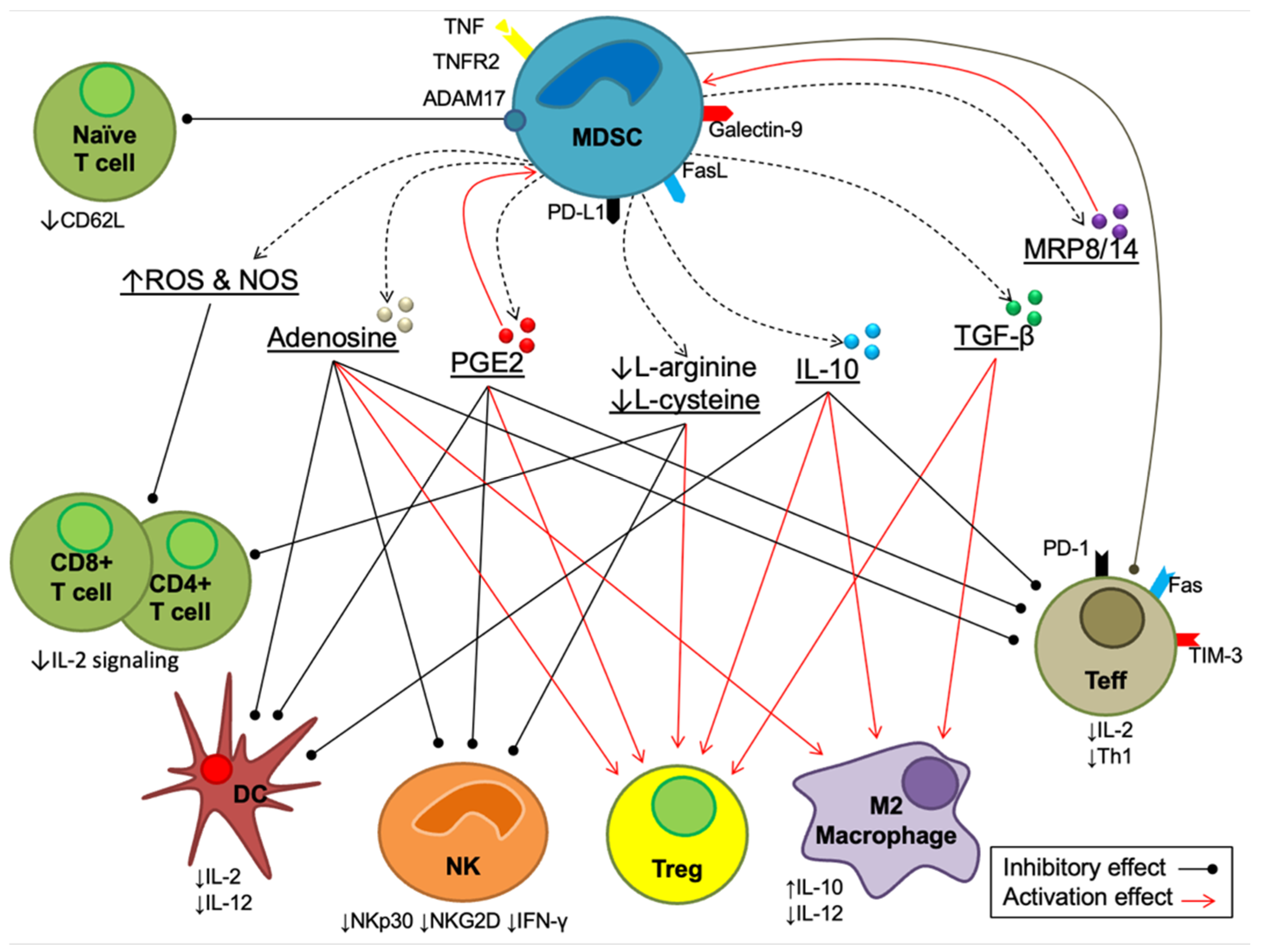 Biology 11 01225 g002