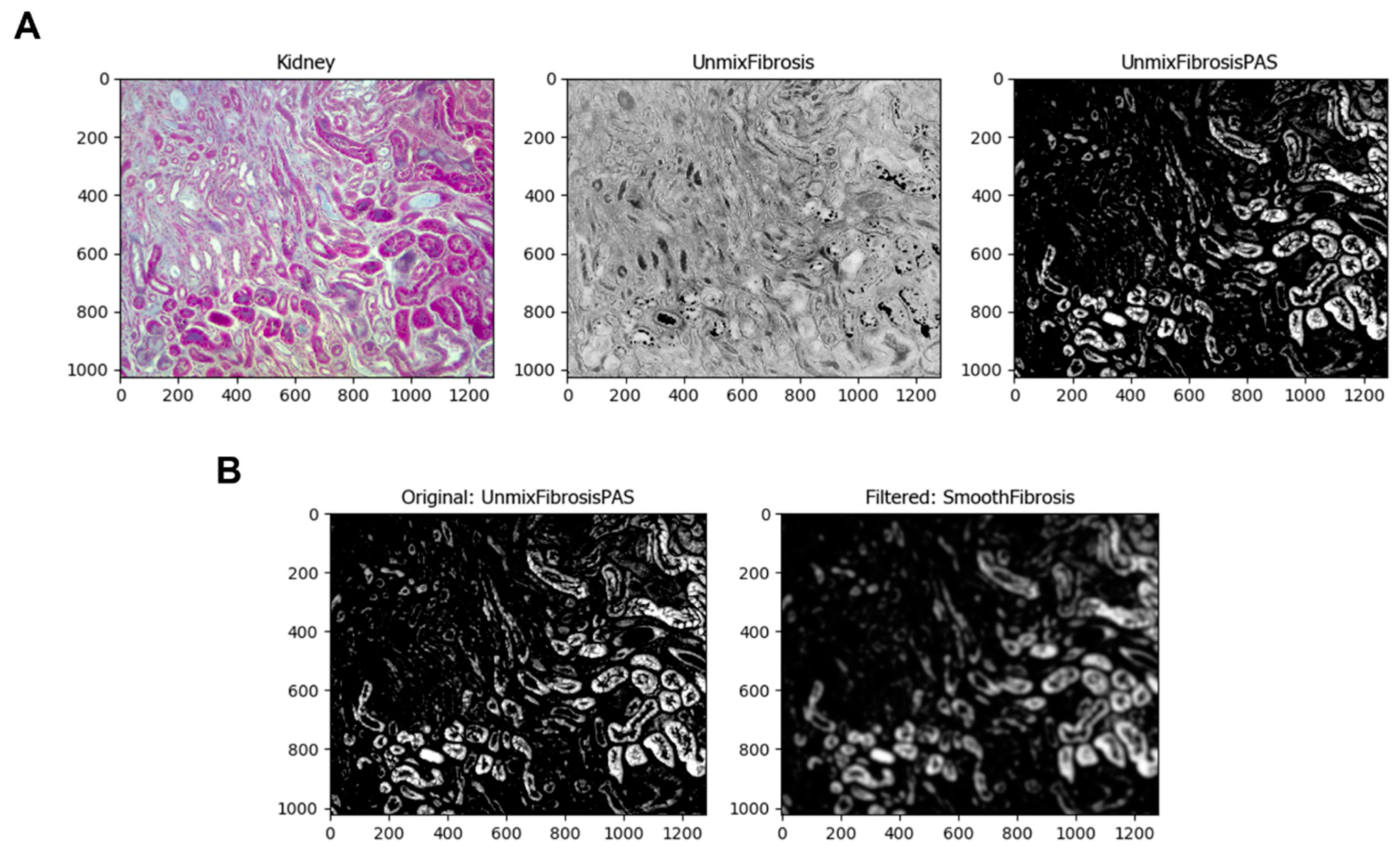 Biology 11 01227 g003a